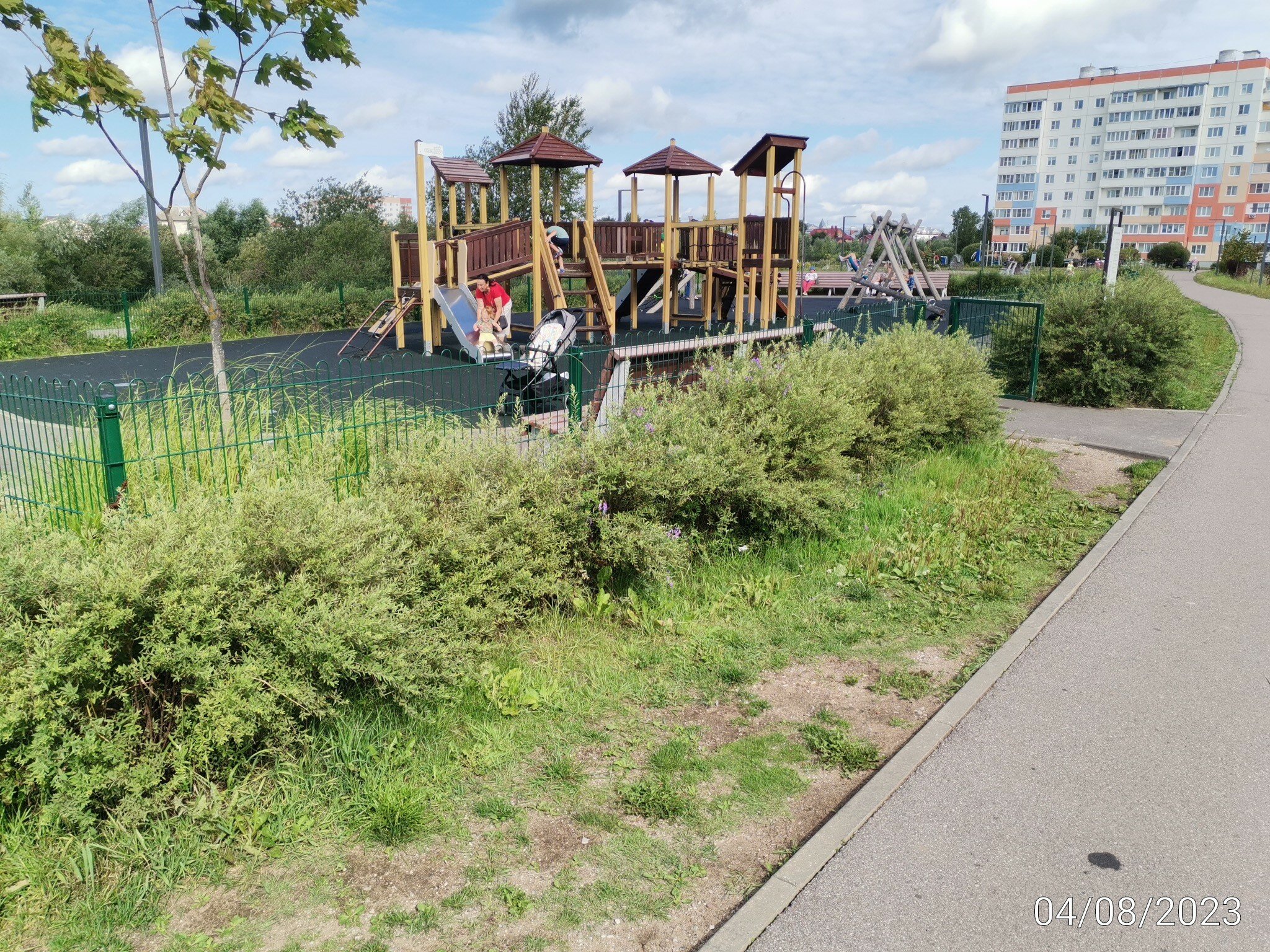 В Веряжском парке ещё не всё доделано - "Великий Новгород.ру"