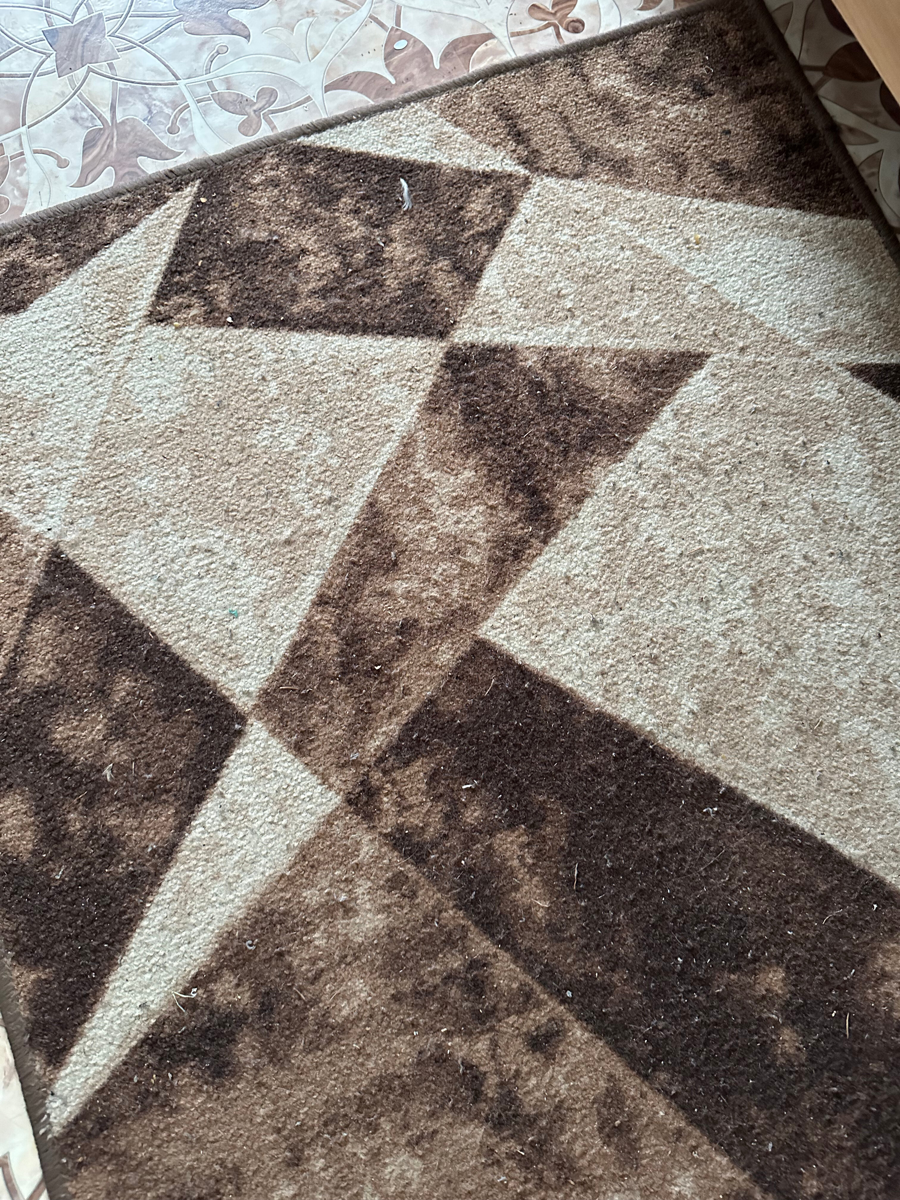 Фото Хаапалампи