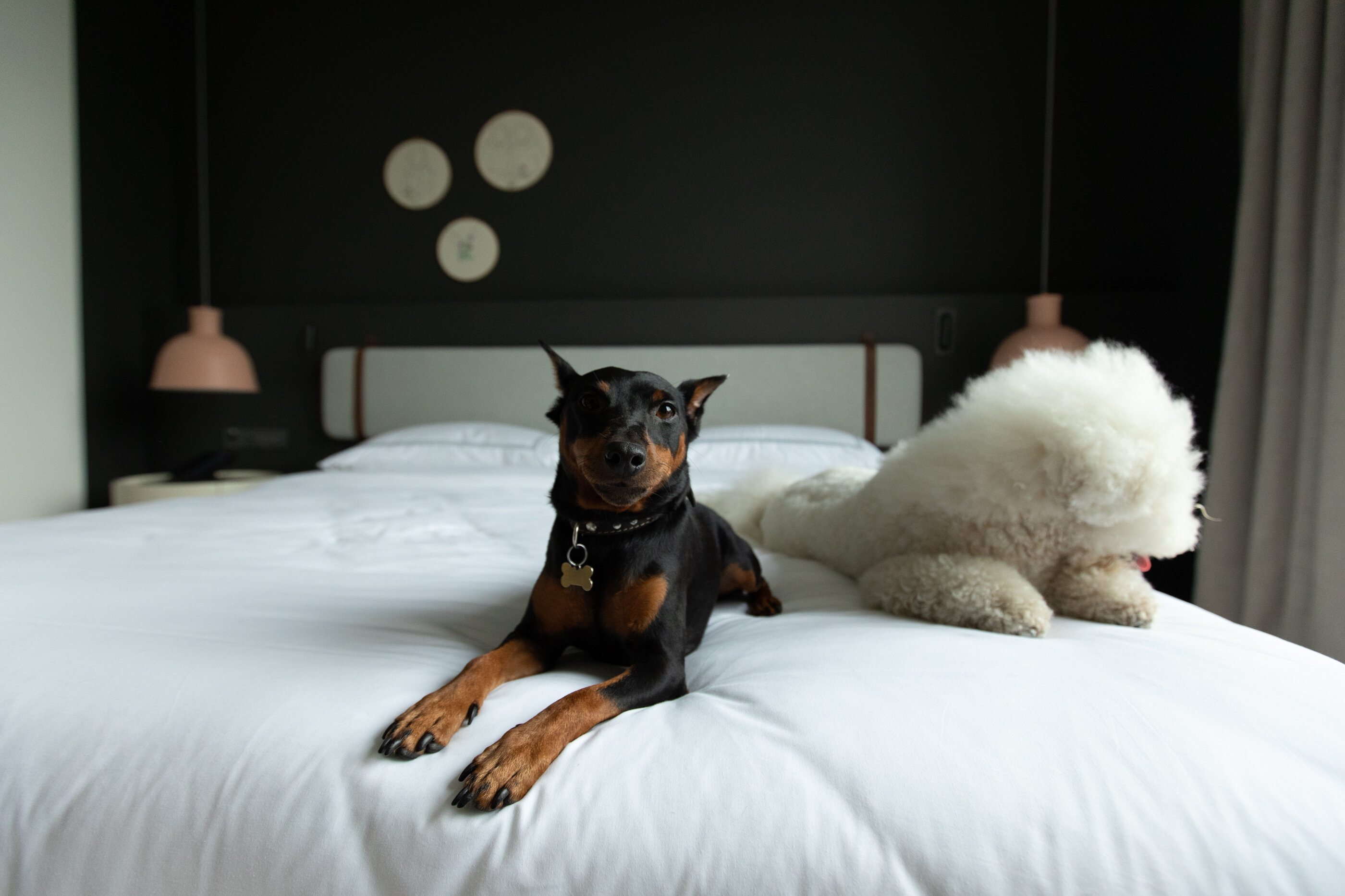 Фото Neo Kazan Palace