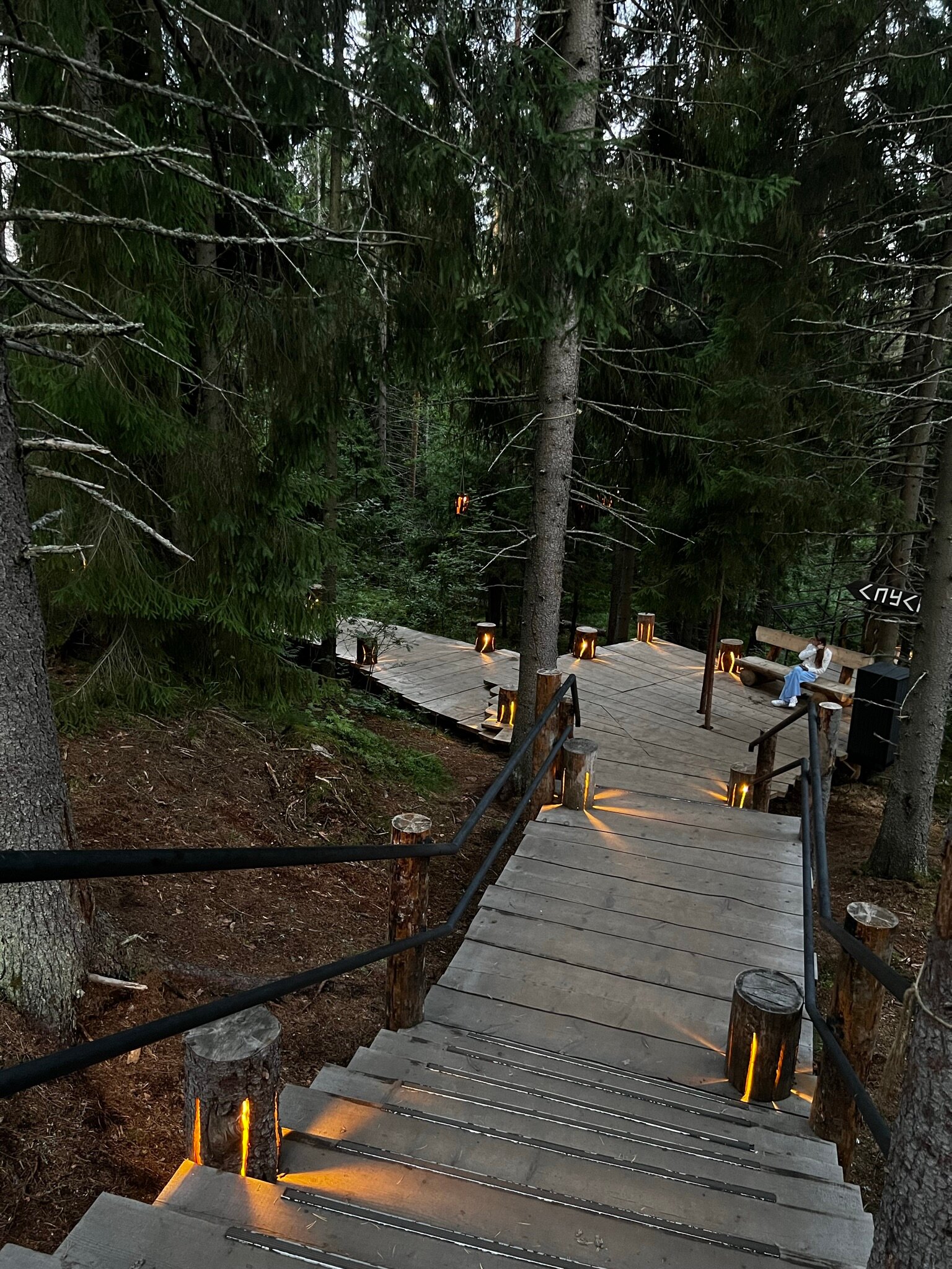 Фото Моррис