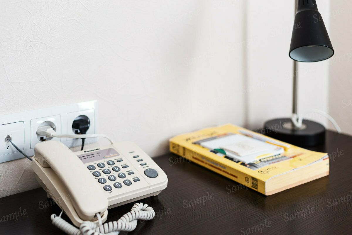 Фото Подсолнух