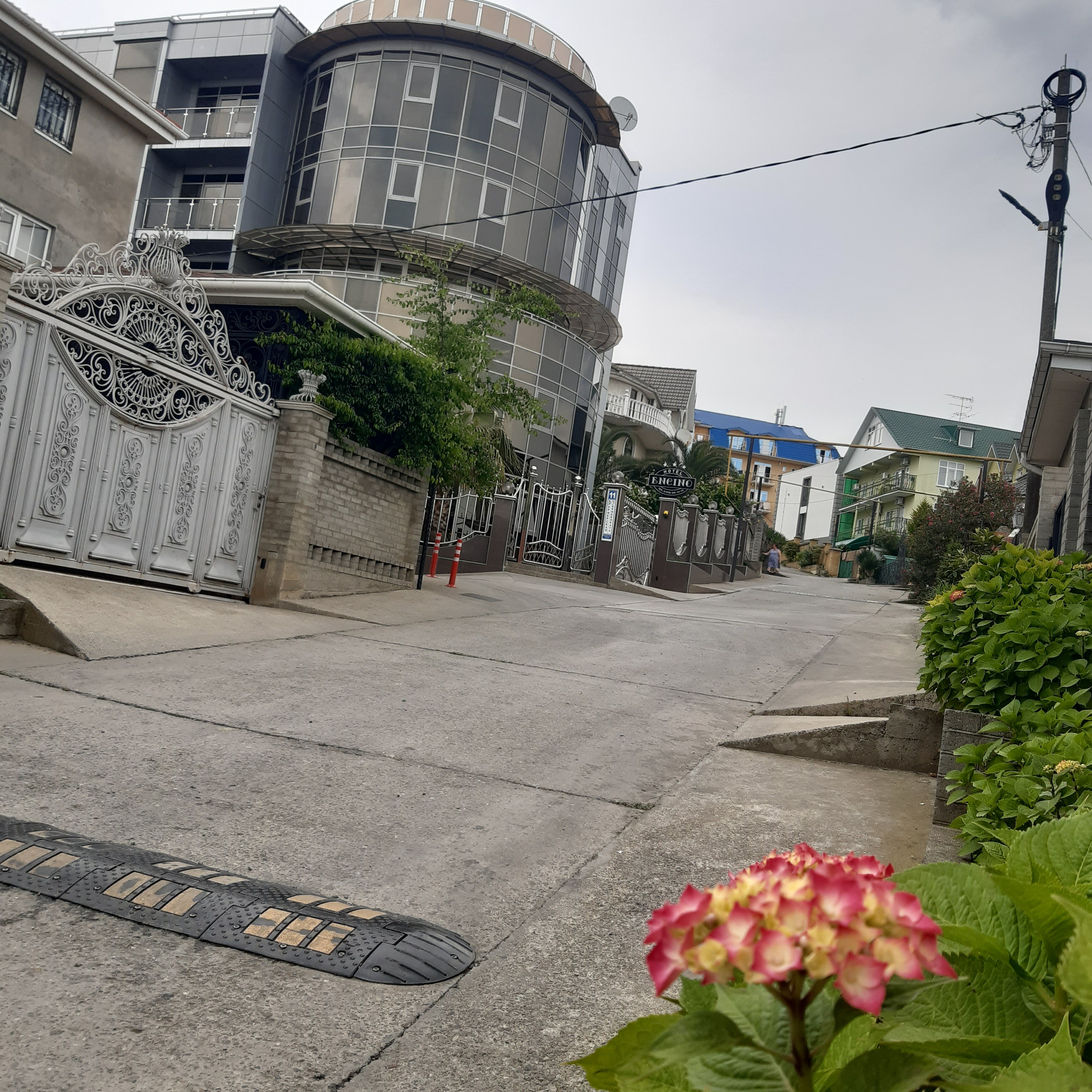 Фото Энсино