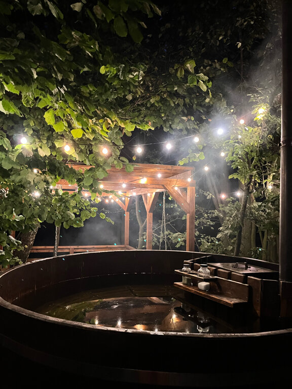 Фото Жёлуди