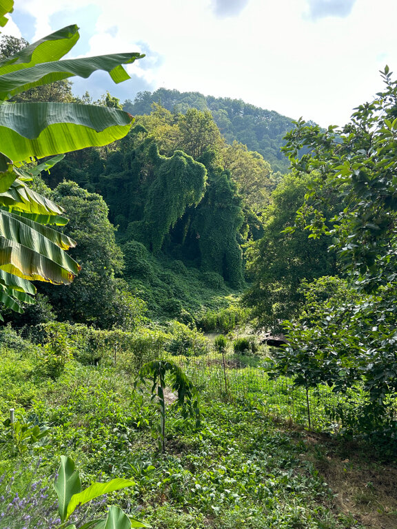 Фото Заповедник