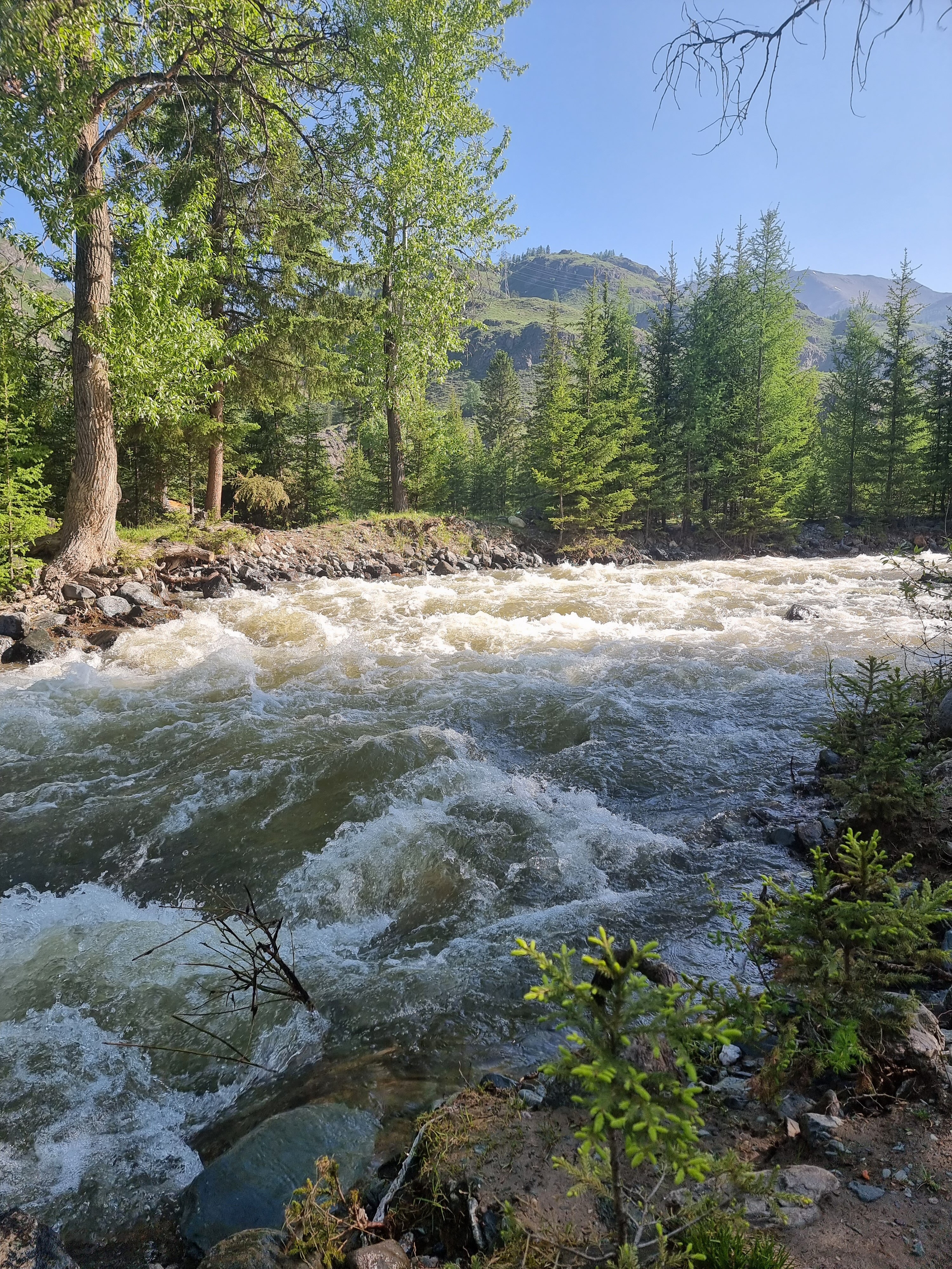 Фото Green House04