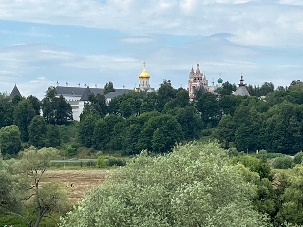 Смотровая площадка Смотровая площадка на Мясиной горе с видом на Монастырь, Звенигород, фото