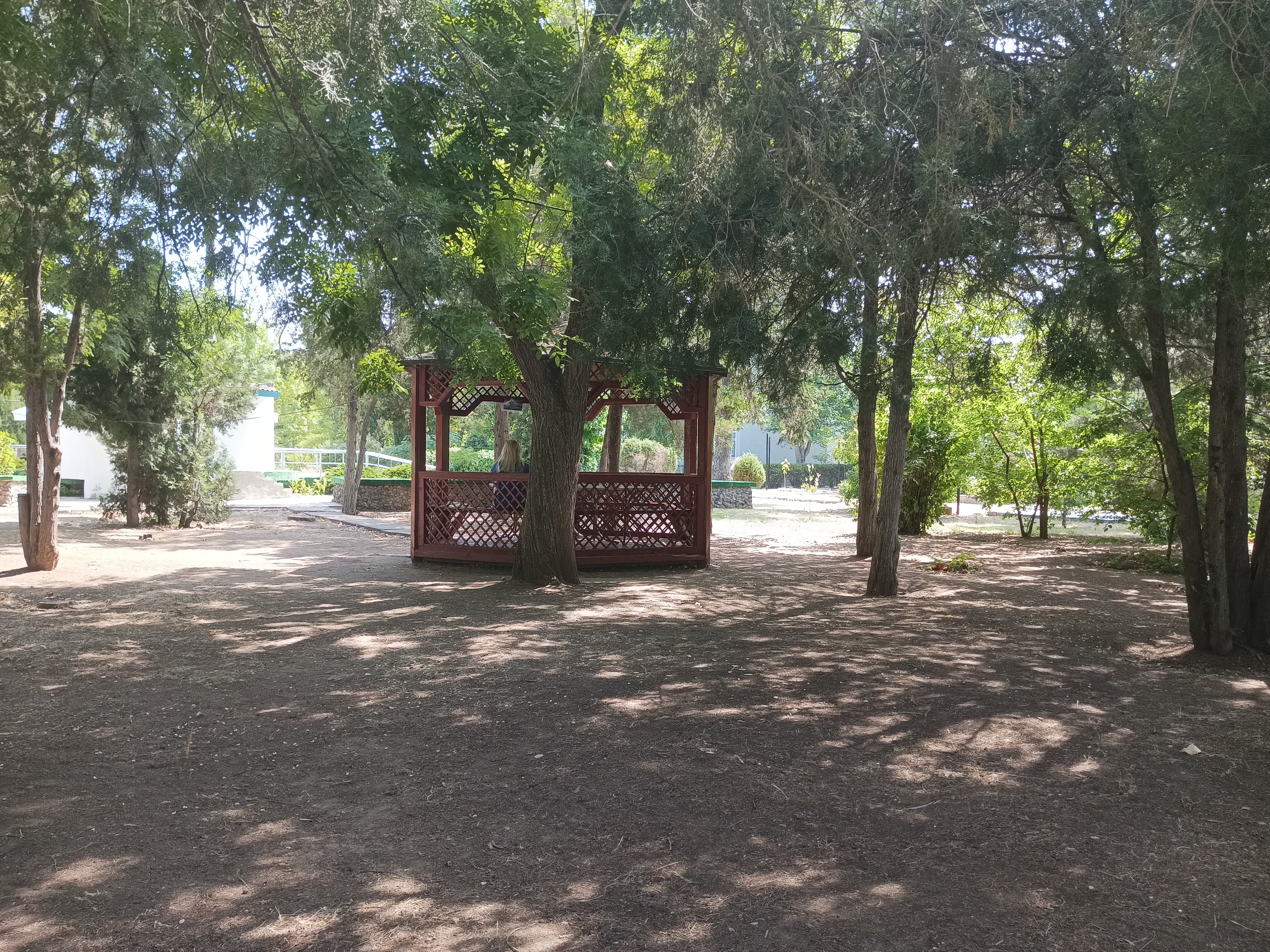 Фото Гагарин