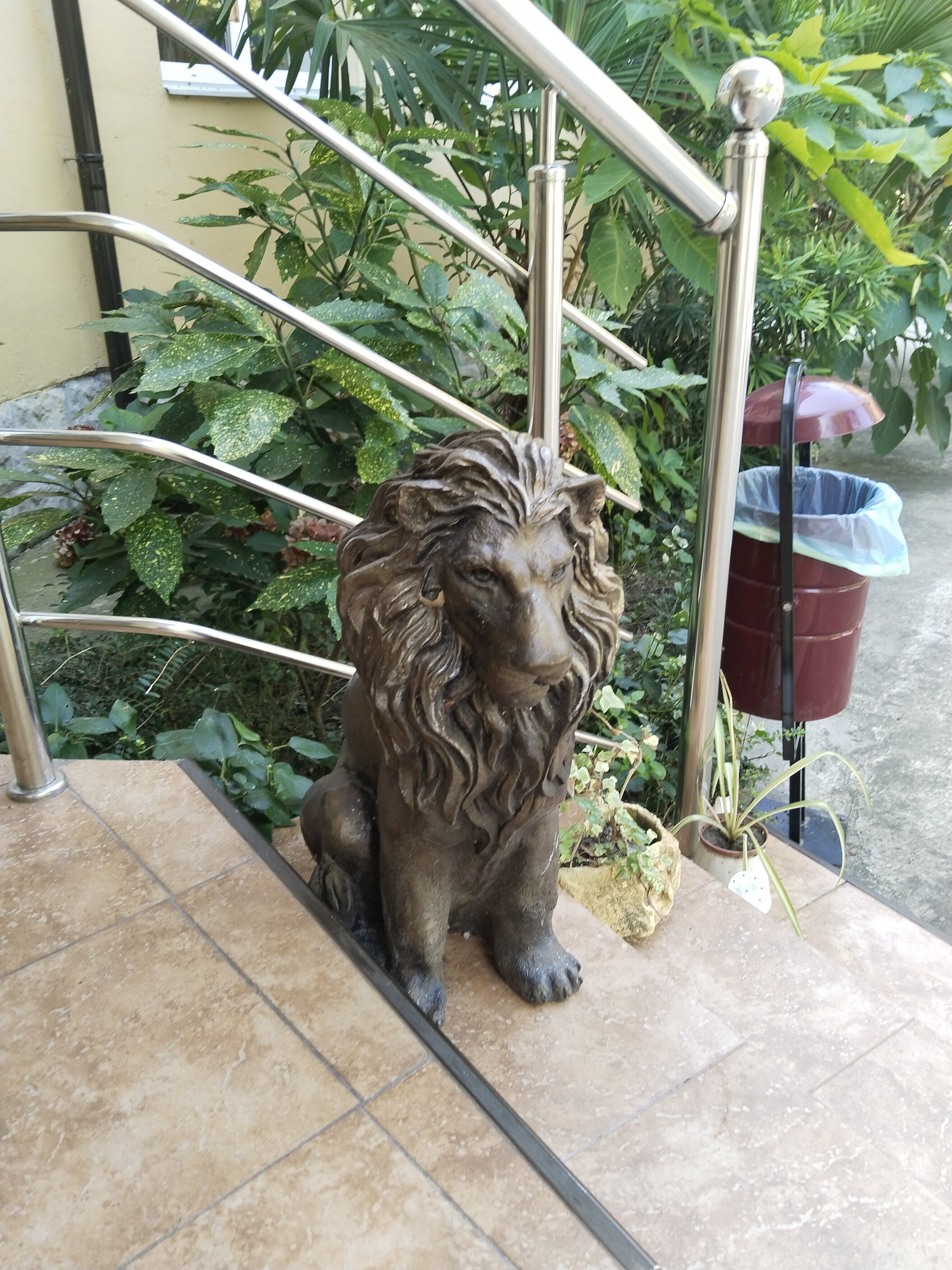 Фото Старая Хоста