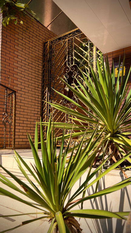 Фото Золотая миля