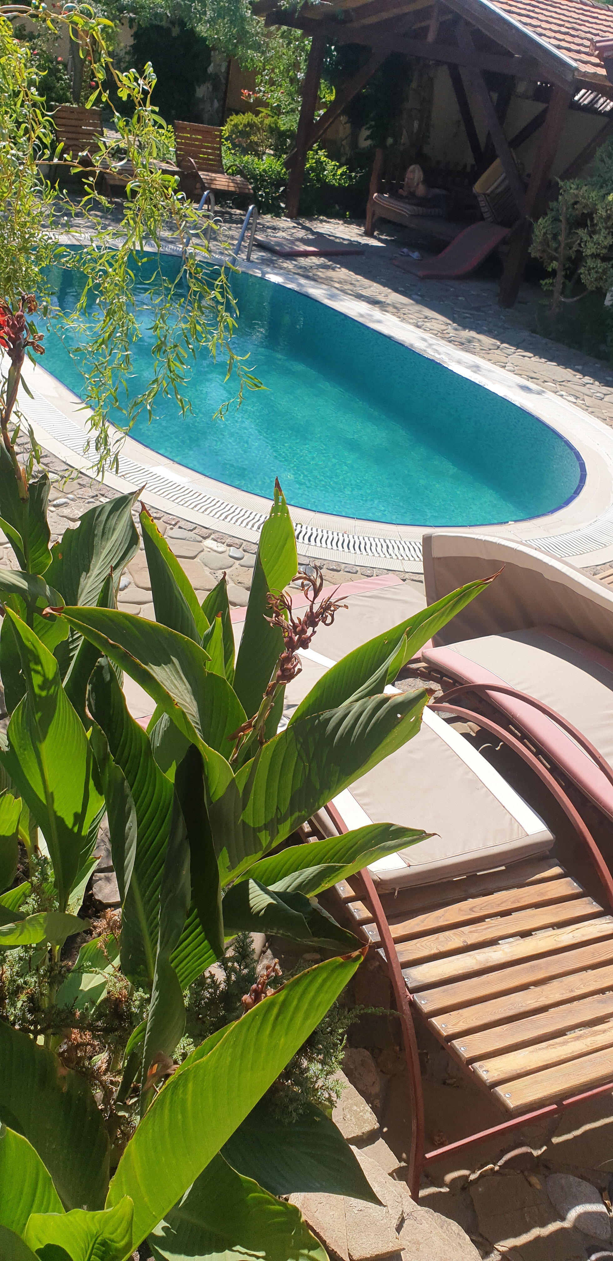 Фото Гостиный дом на Меганоме