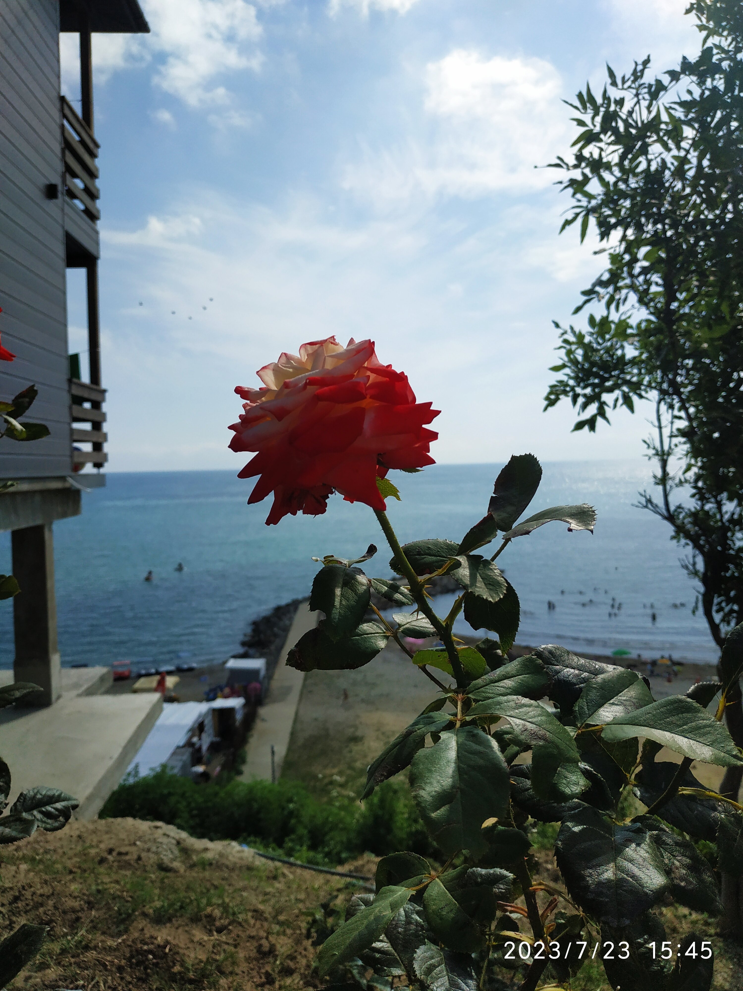 Фото Лайтхаус