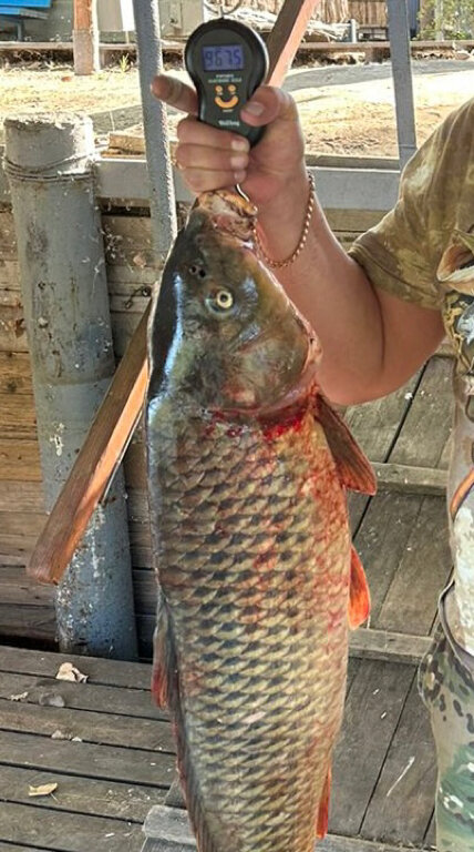 Фото Усадьба Гандурино