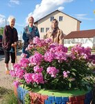 Столетник (село Никулино, 70), мүгедектер және қарттар үйі  Мәскеу және Мәскеу облысында