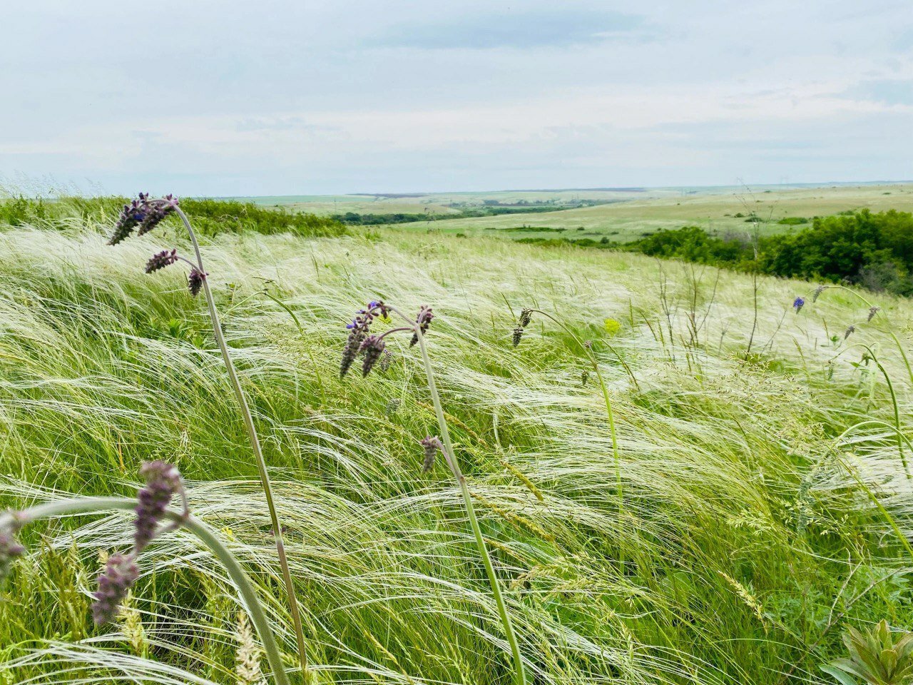 Фото СтепнаяЗдравница