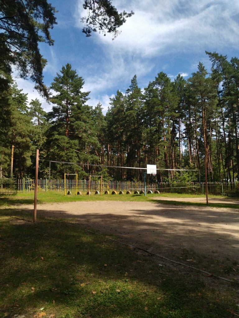 Summer camp Детский оздоровительный лагерь Лесной городок, Tambov Oblast, photo