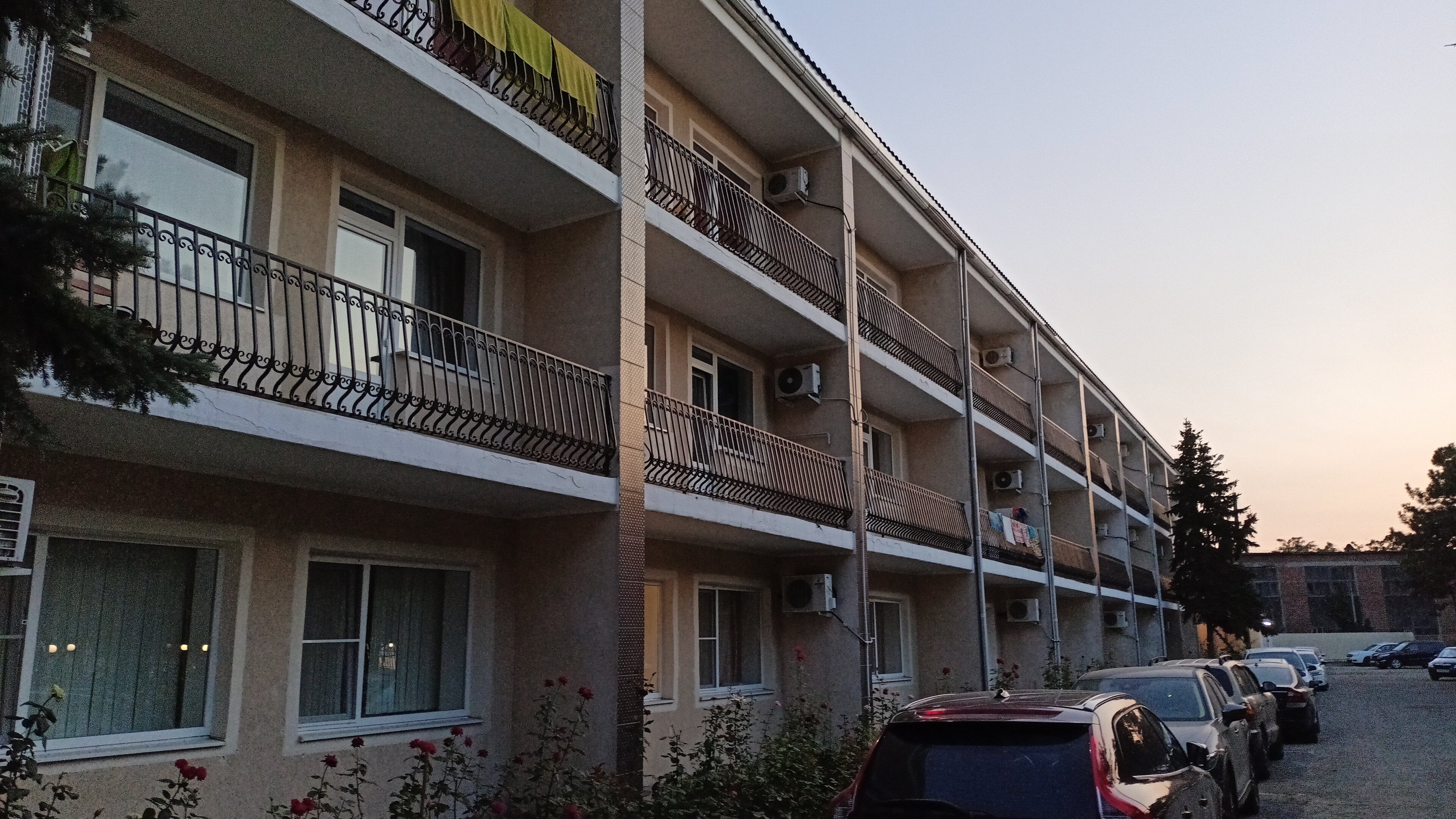 Фото Астерия