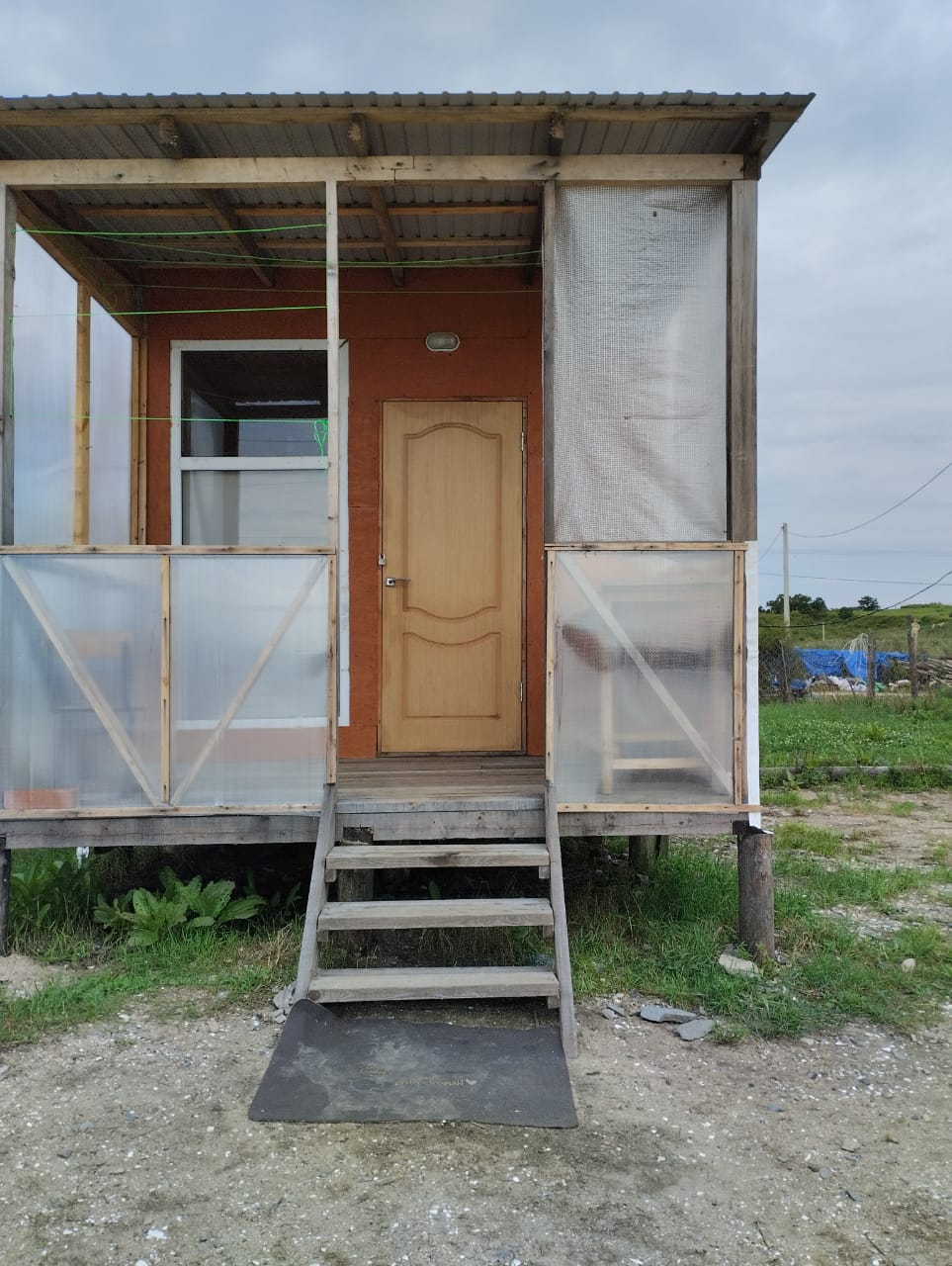 Фото Зелёная полянка