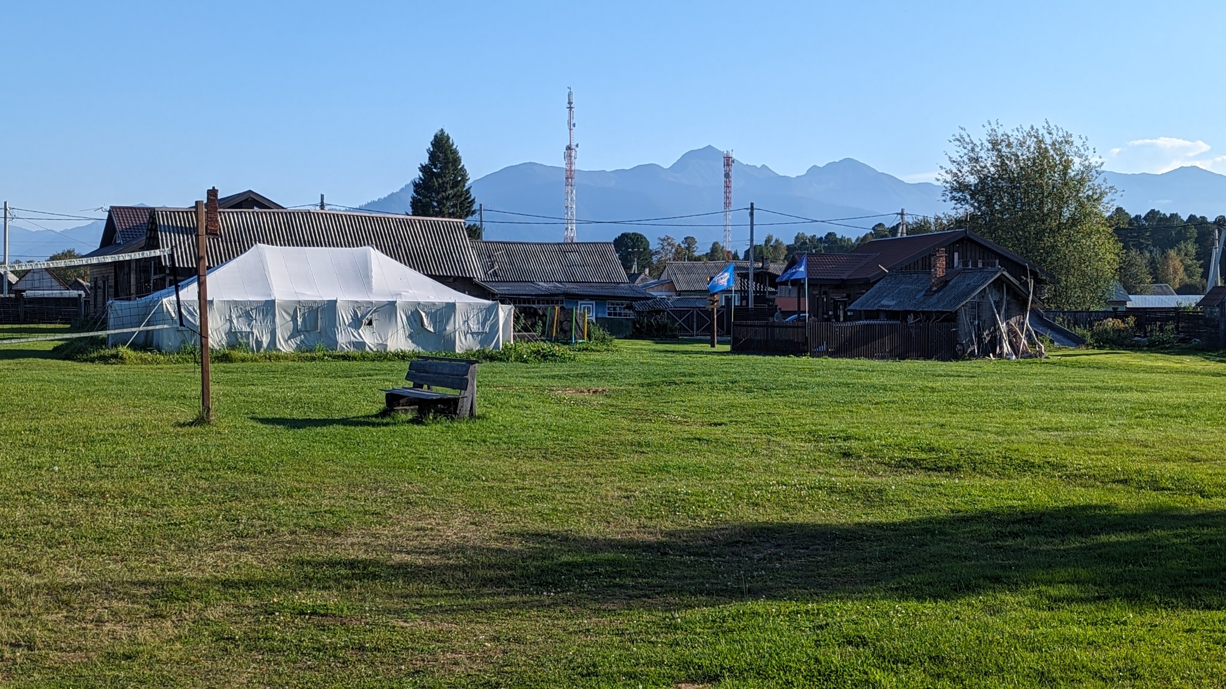 Фото Снежные Гуси