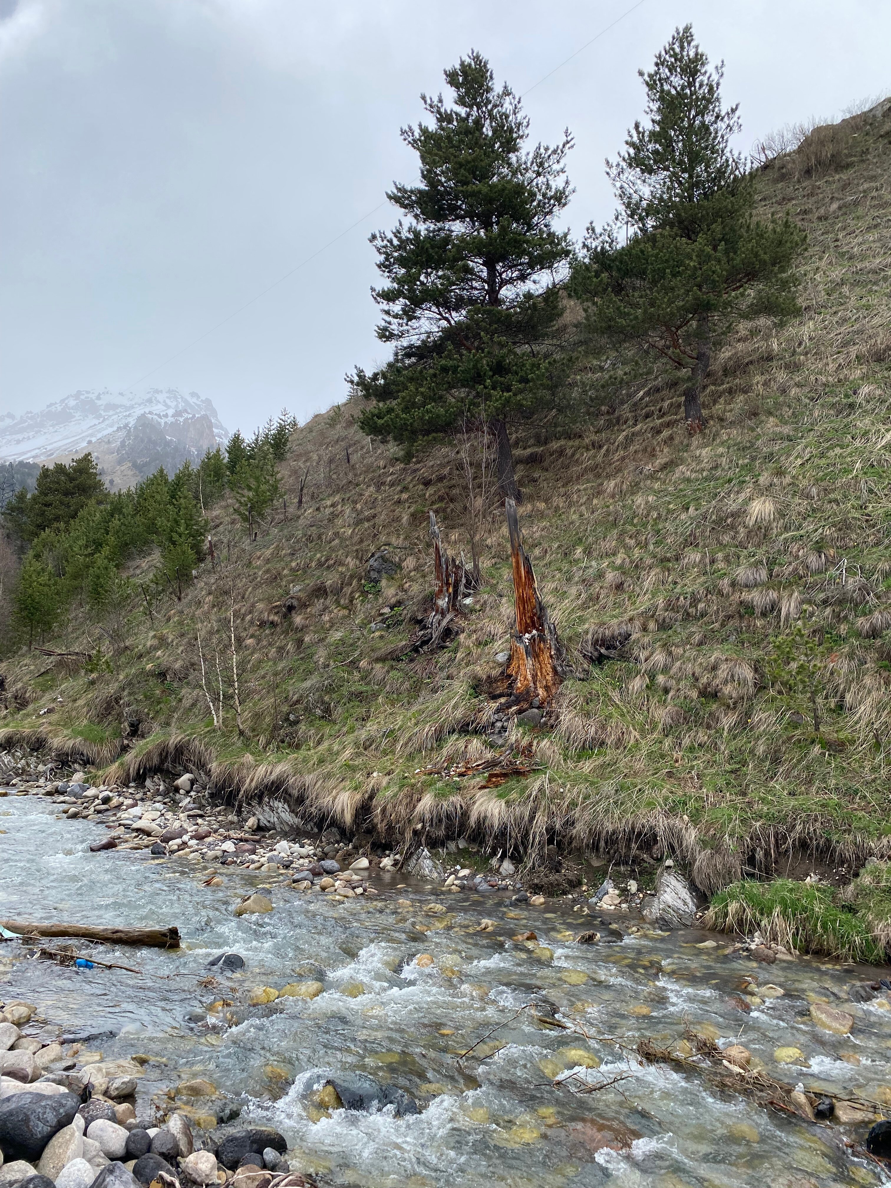 Фото Malkar House