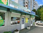 Дачный Дом (Samara, Penzenskaya Street), flowers and bouquets delivery