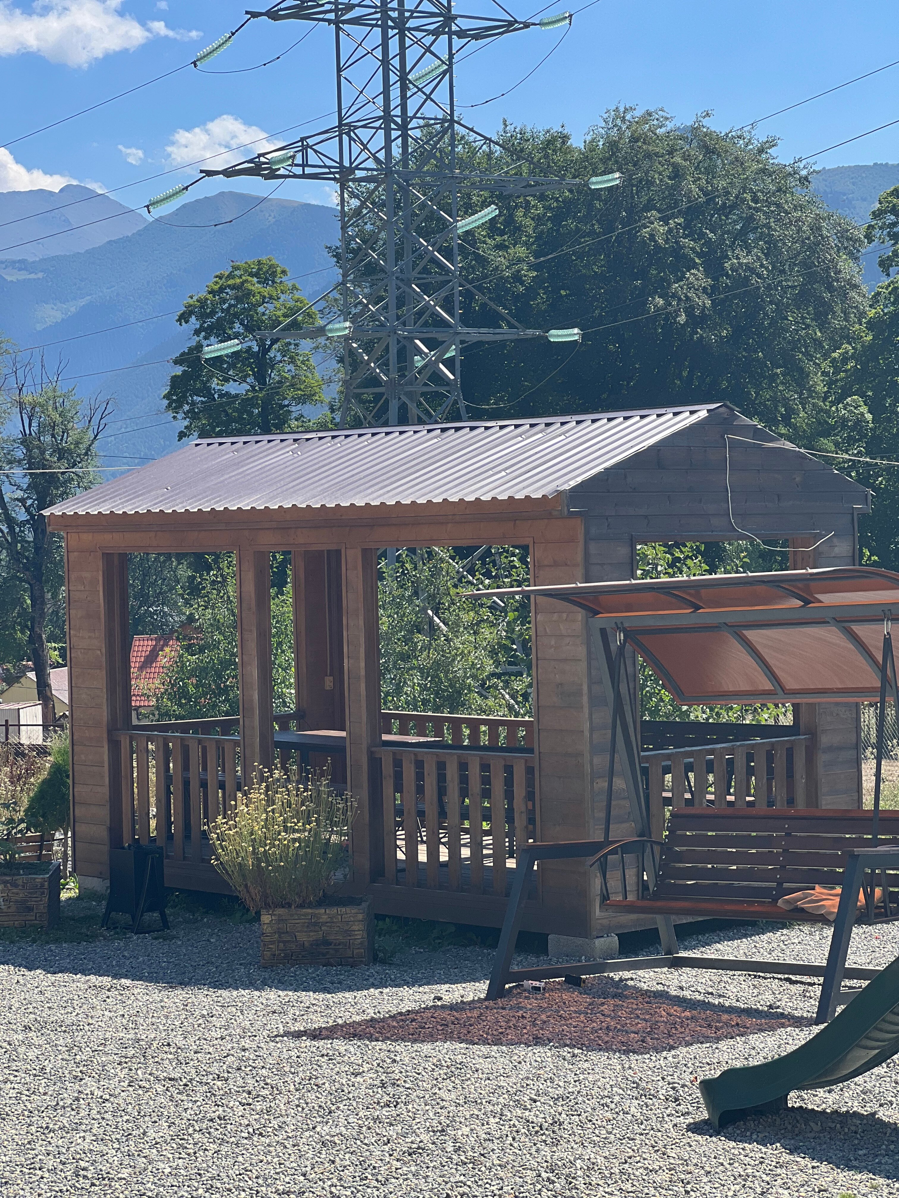 Фото Дикая груша