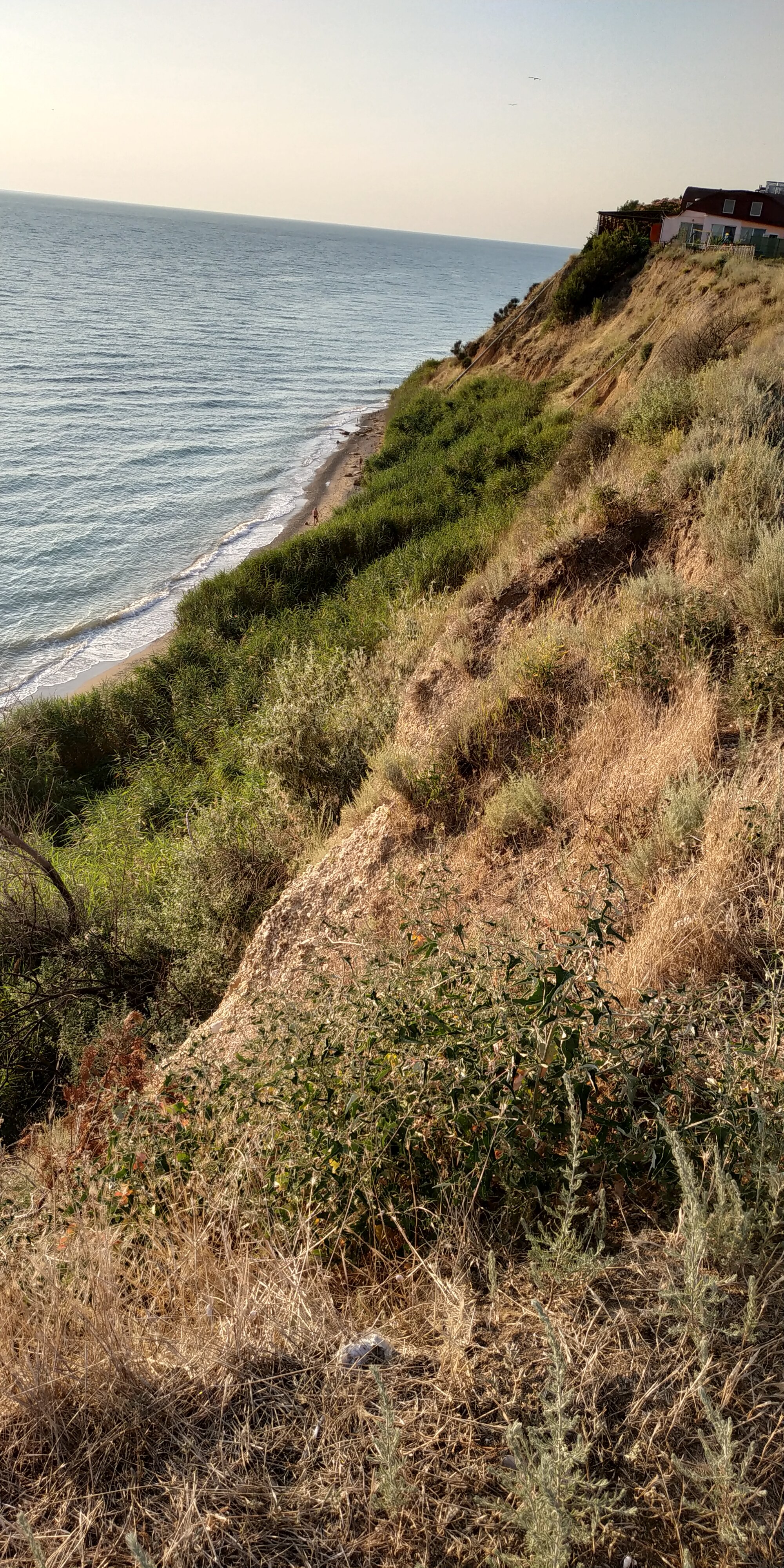 Фото Южный Берег