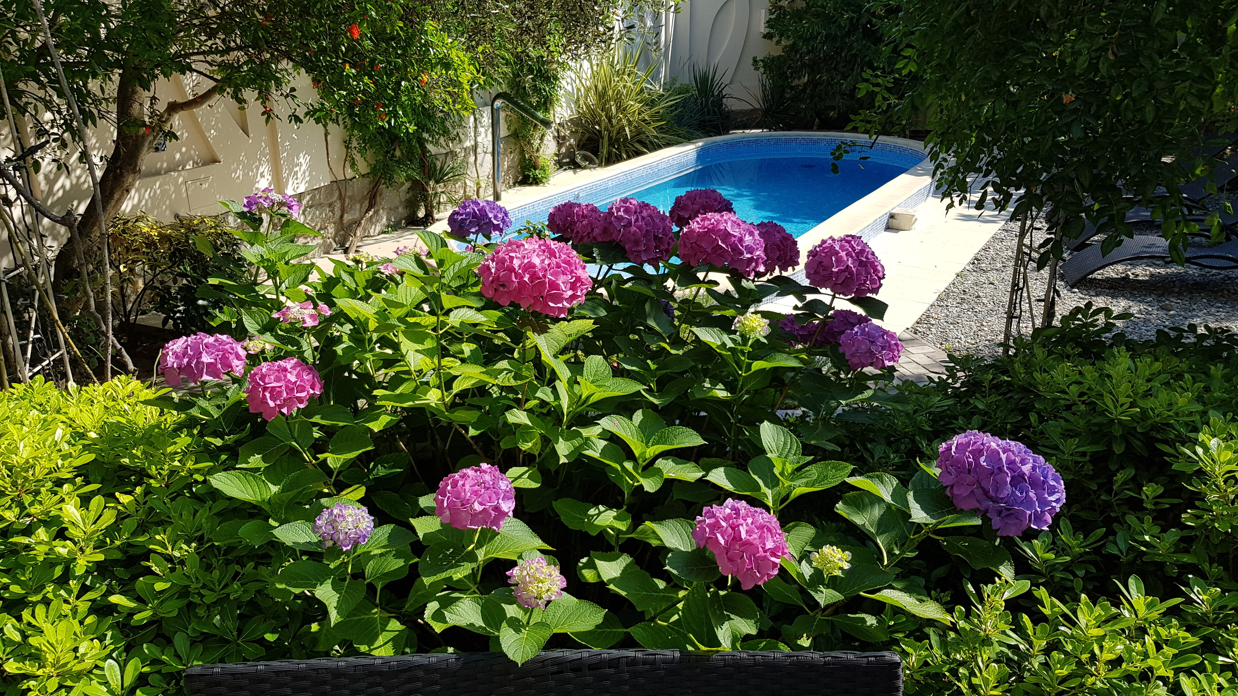 Фото Каштановый особняк