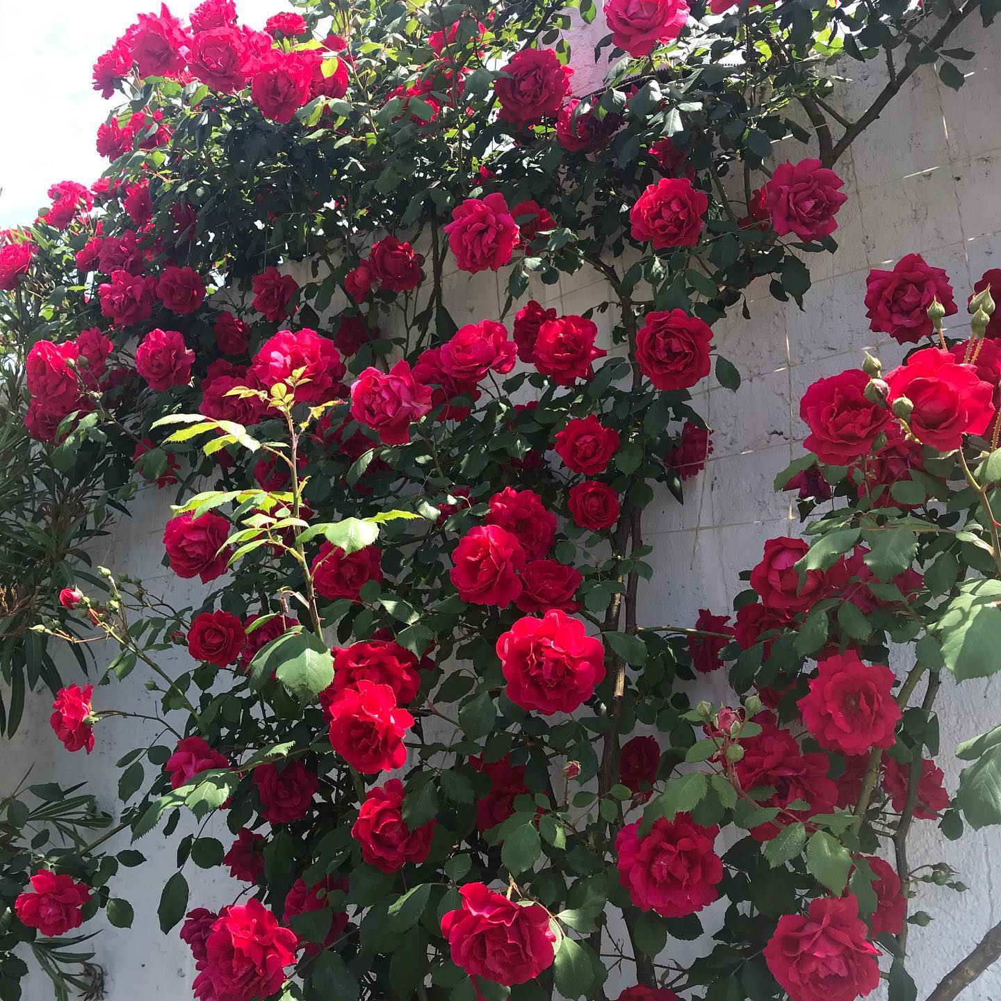 Фото Лофт Студии