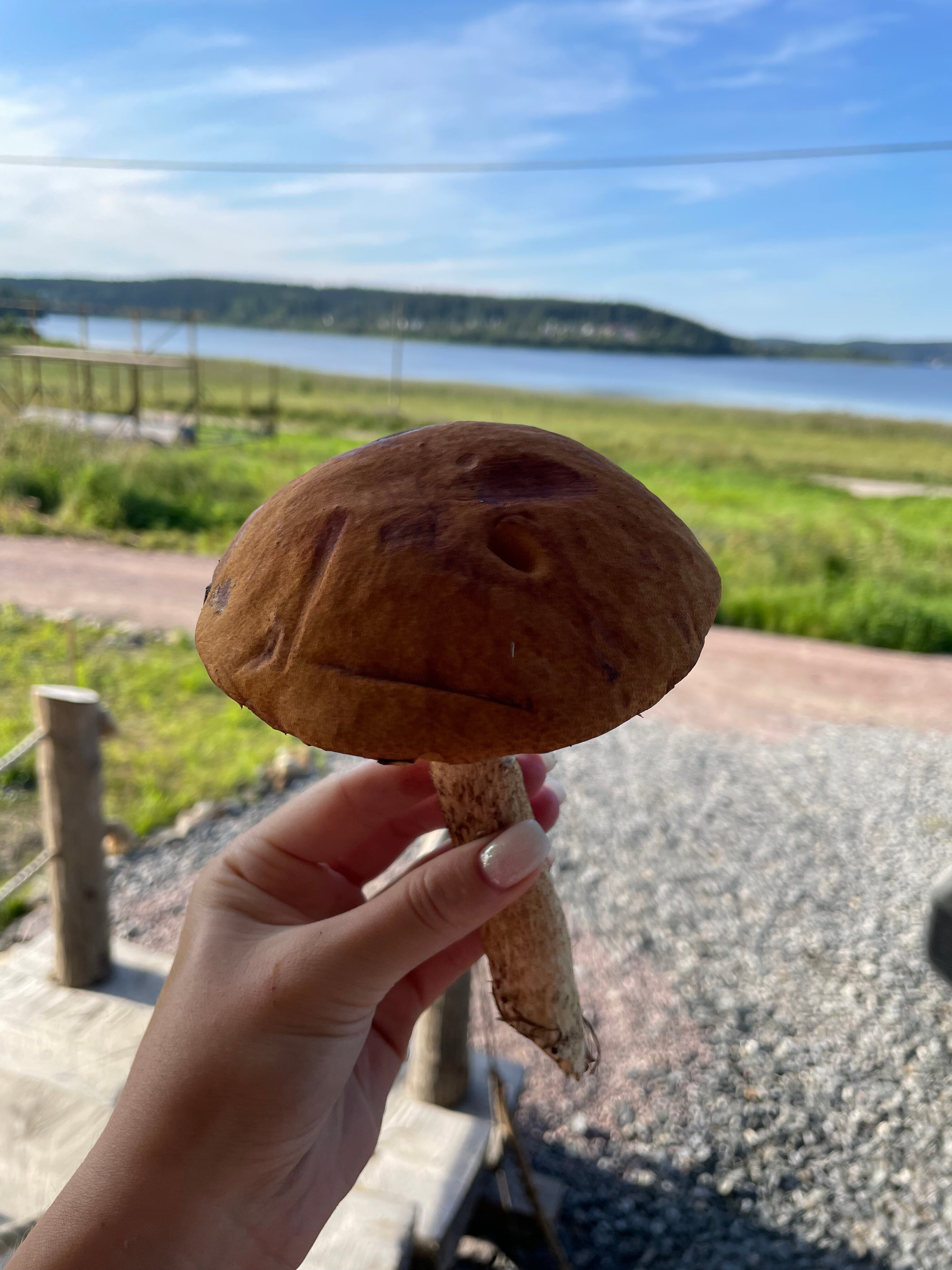 Фото Villi Honka