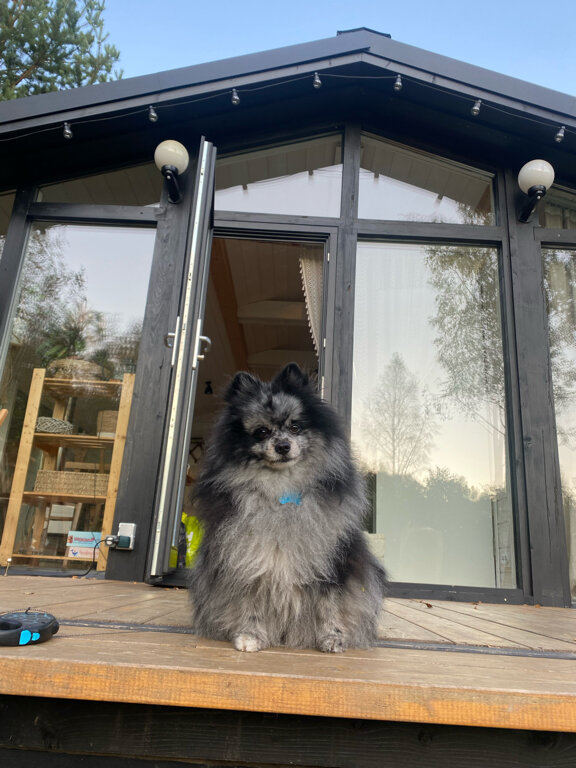 Фото Тишь да гладь