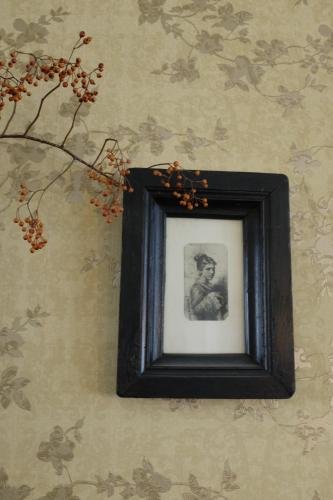 Фото Hotel Pastis