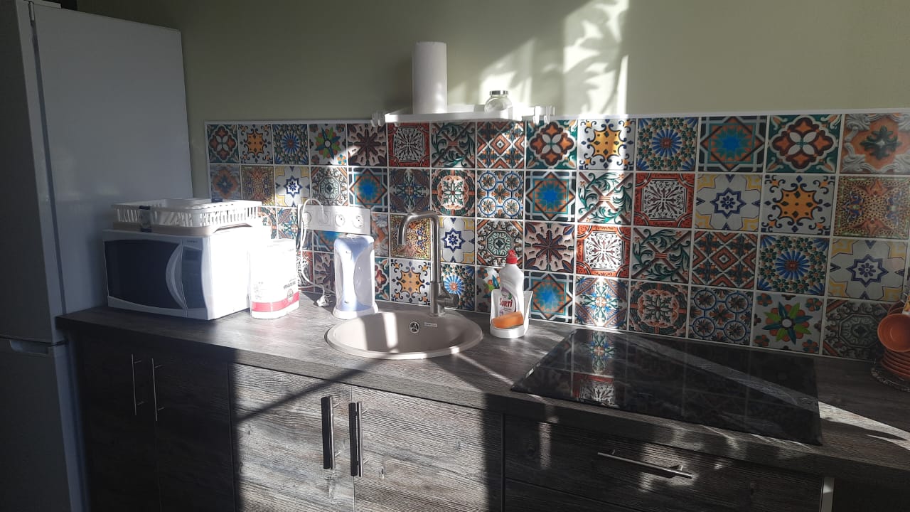 Фото Сова в Шереметьево