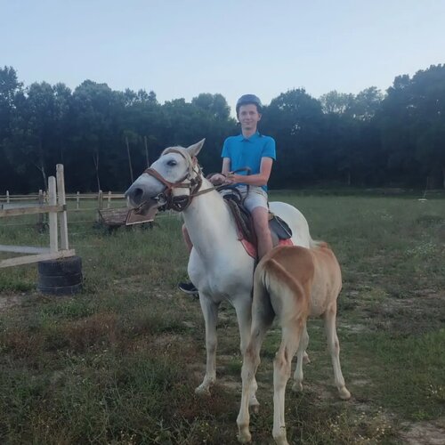 At ve binicilik kulüpleri Arion, Sevastopol, foto