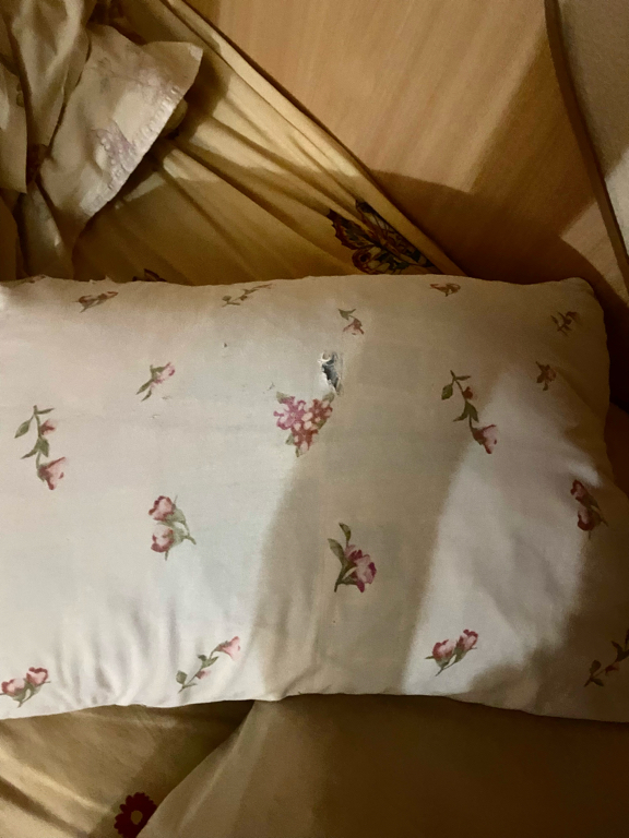 Фото Надежда