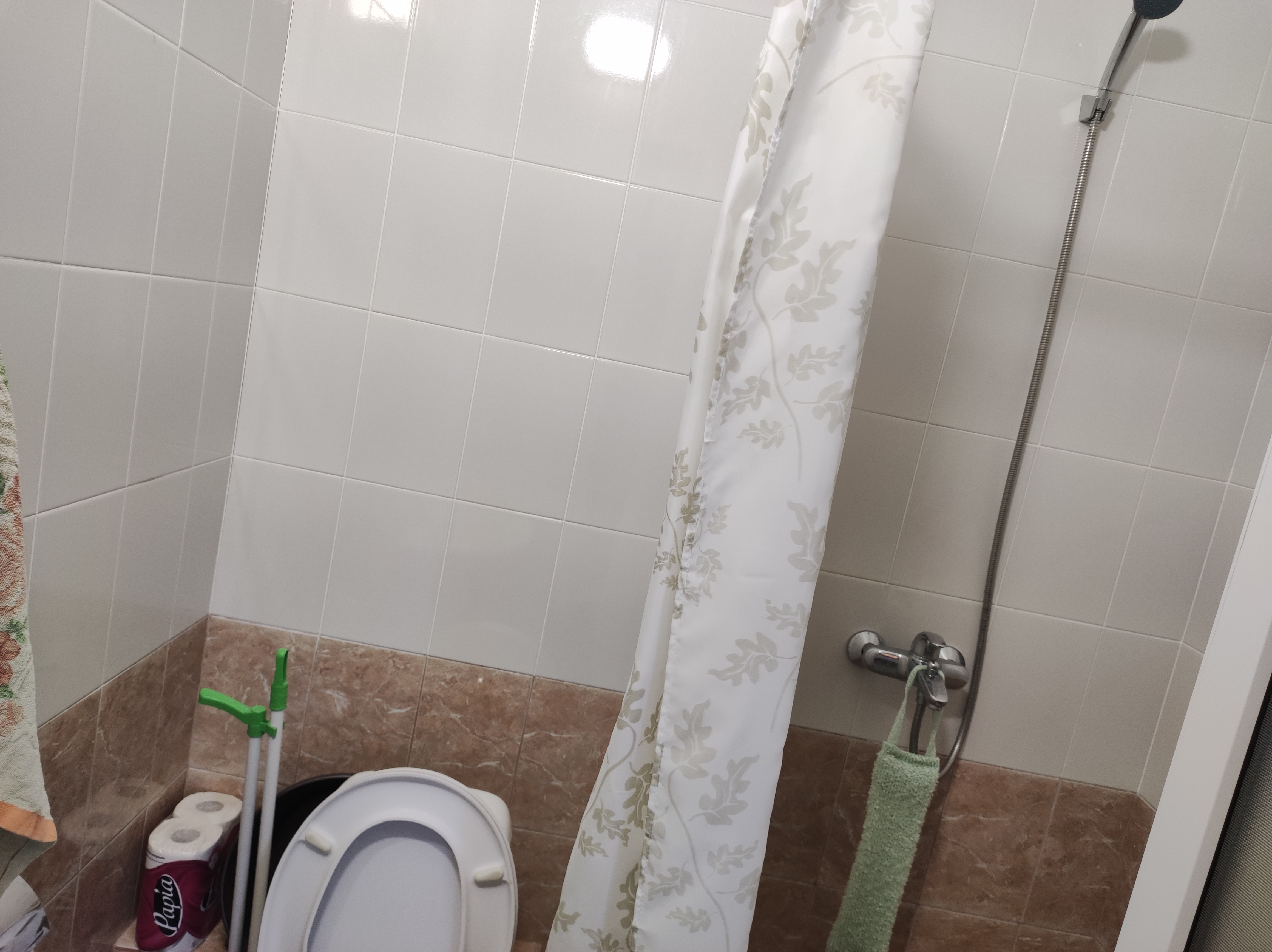 Фото Изумрудная пальма