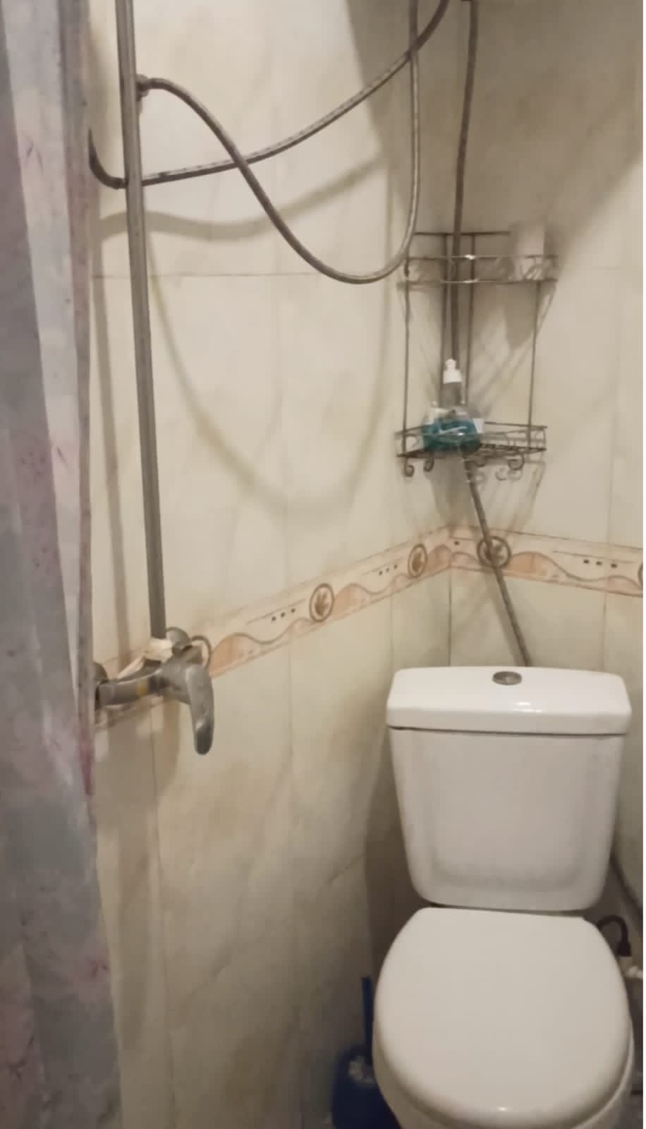 Фото Золотая Чаша