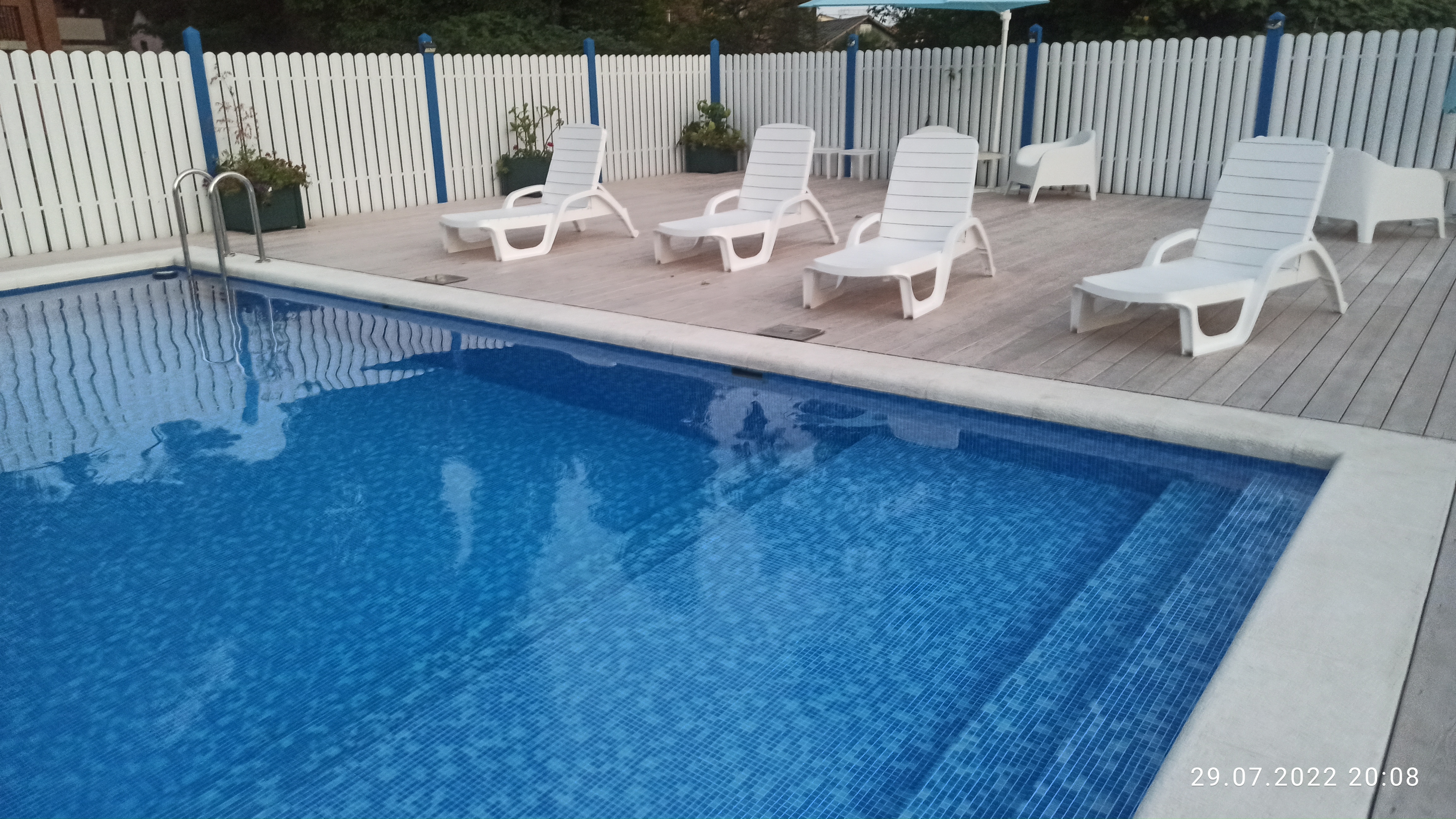 Фото Алиса, привет!