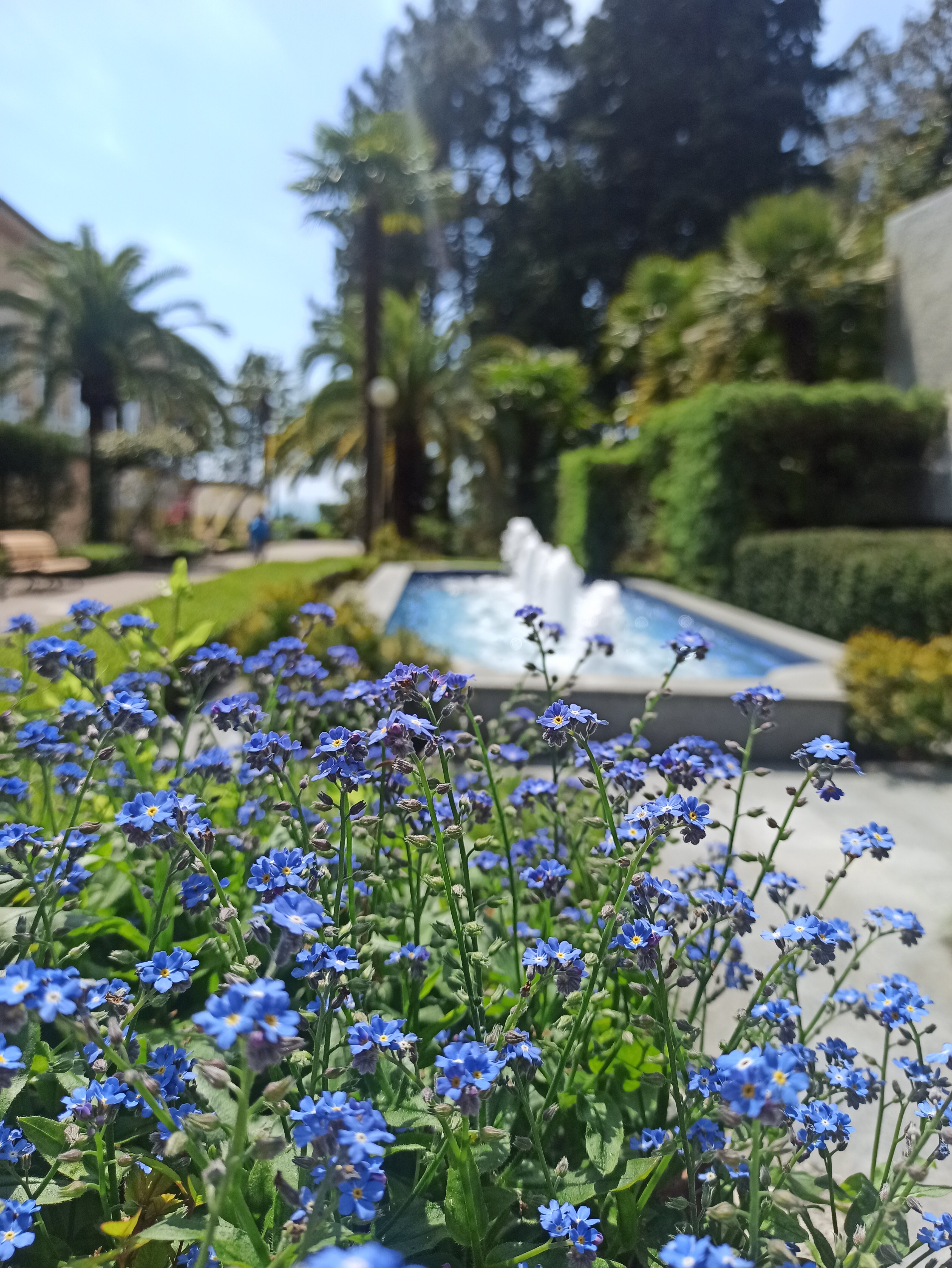 Фото Санаторий имени М. В. Фрунзе