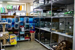 Priroda (Kostromskaya ulitsa, 4), pet shop