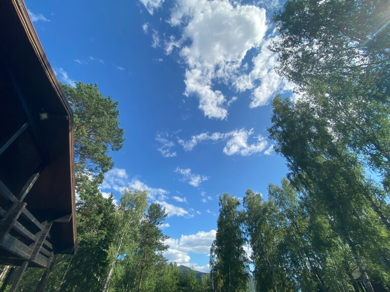 Фото На Шумихе