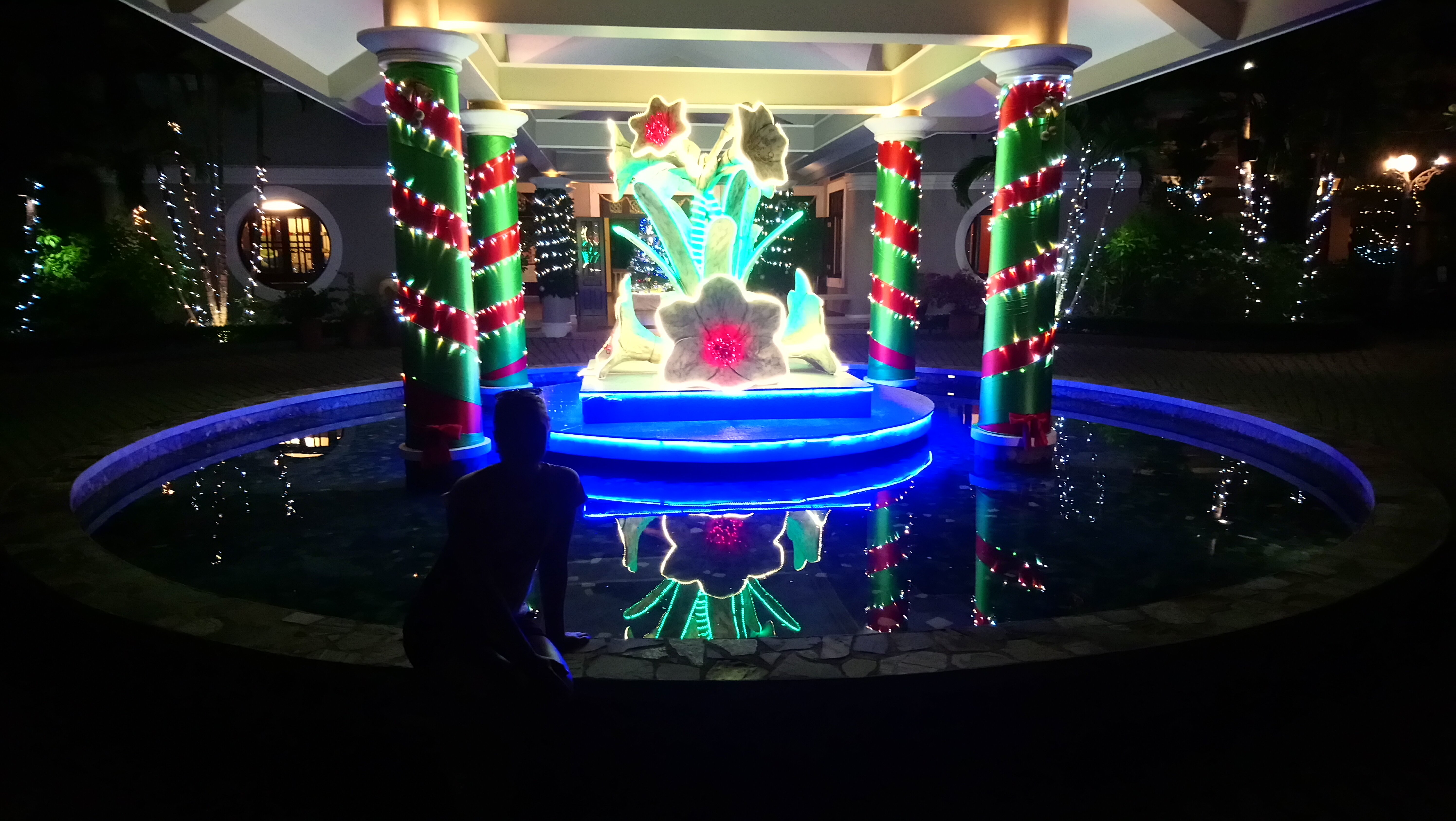 Фото Amaryllis Resort & SPA