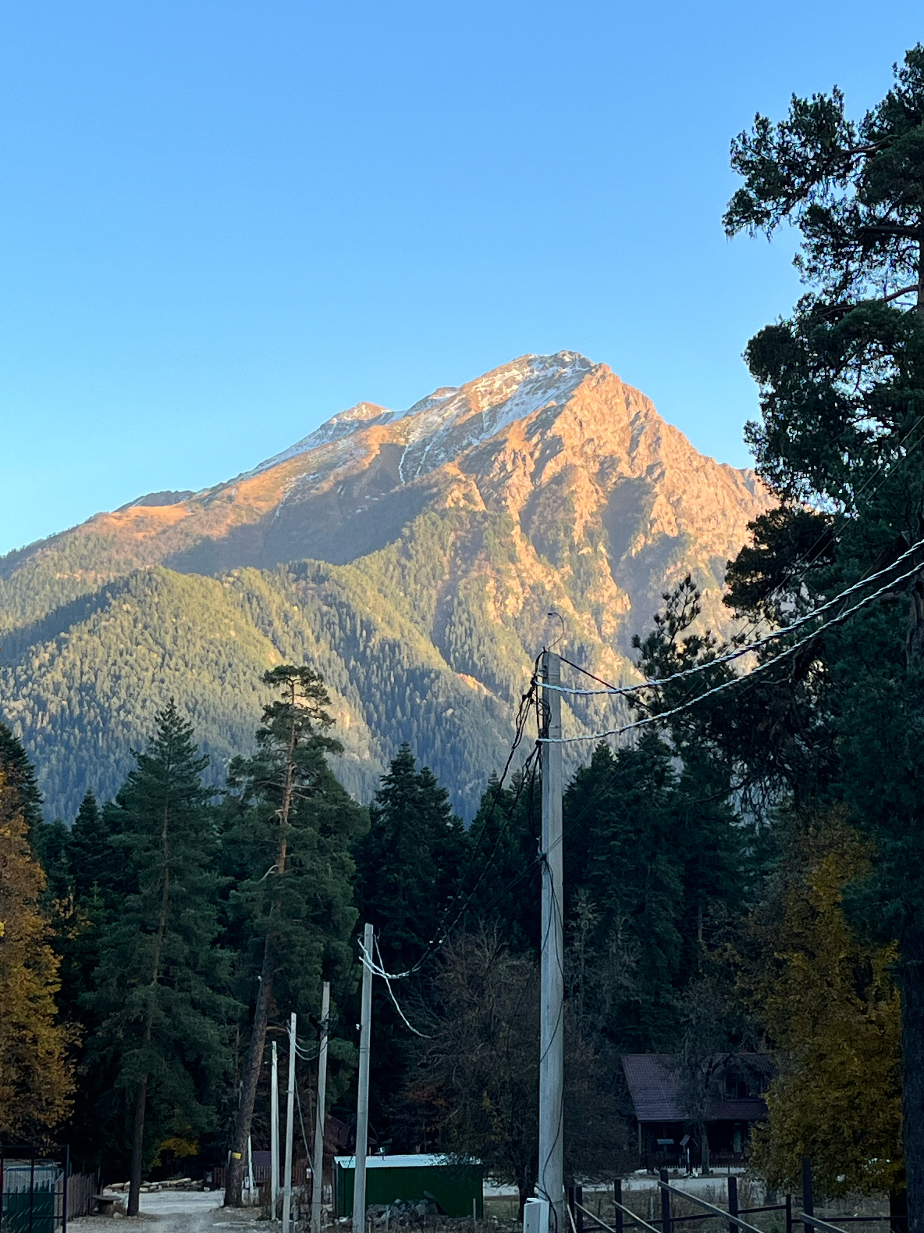 Фото Алибаба