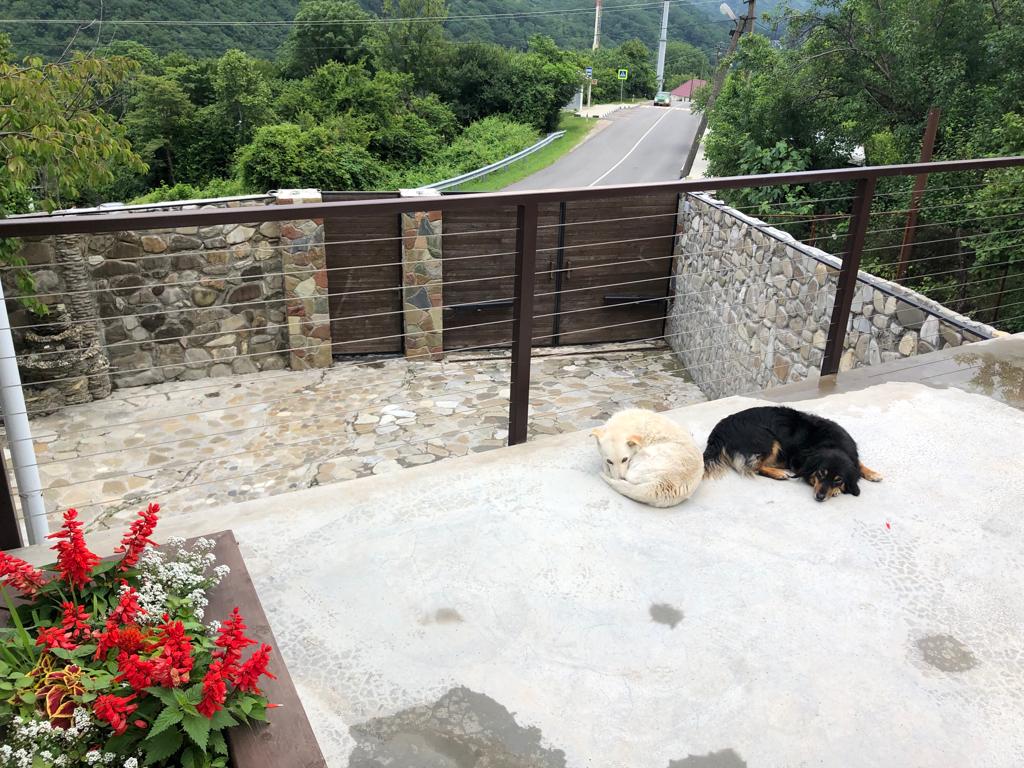 Фото Горный дом