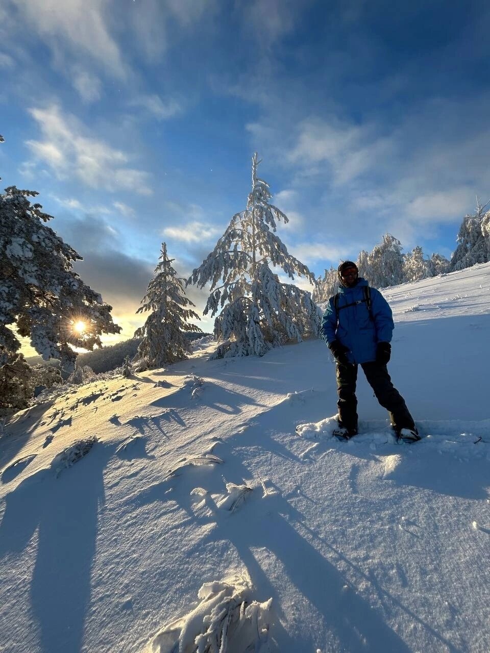 Фото Дикая Вишня