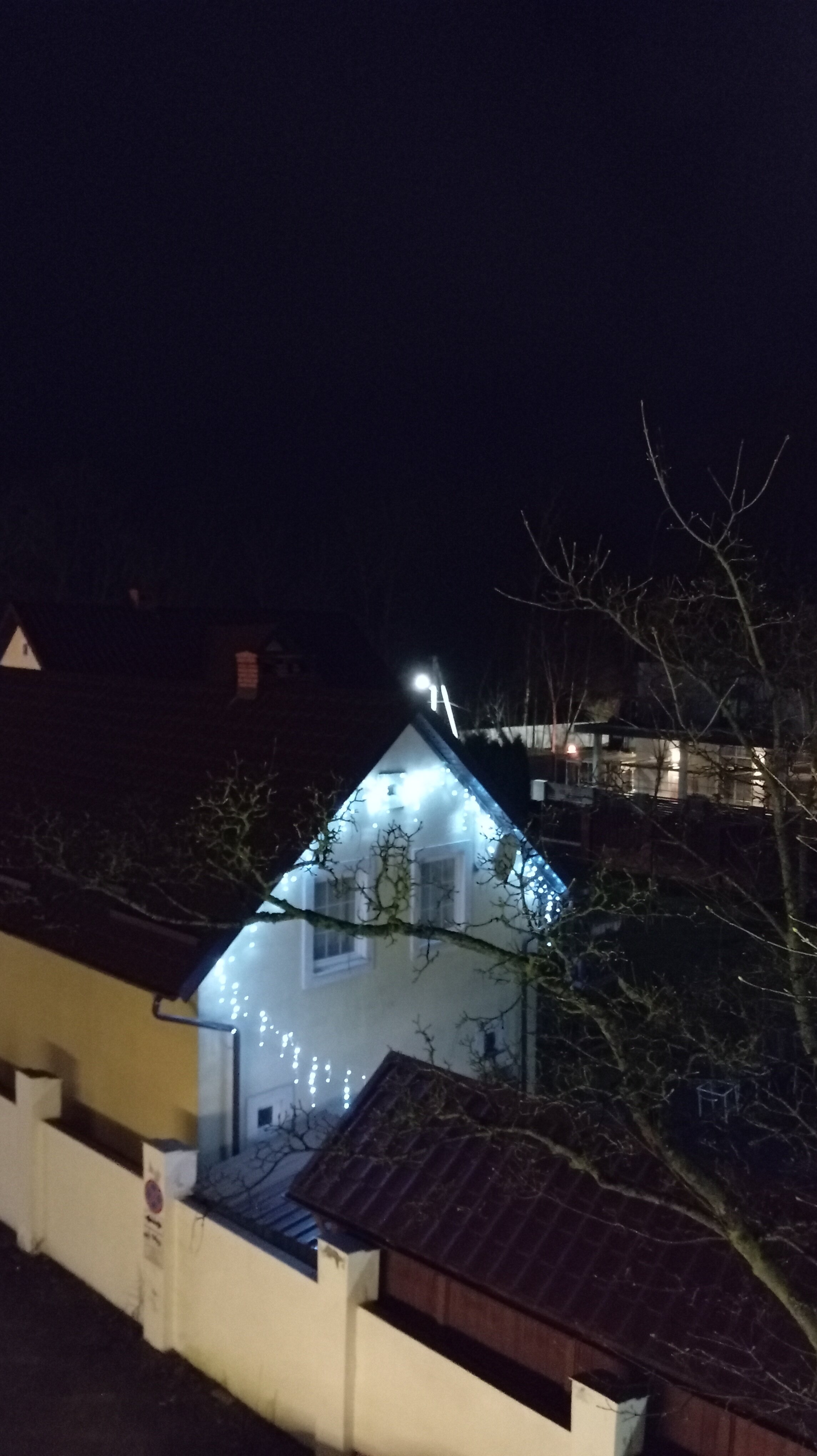 Фото Белый лотос