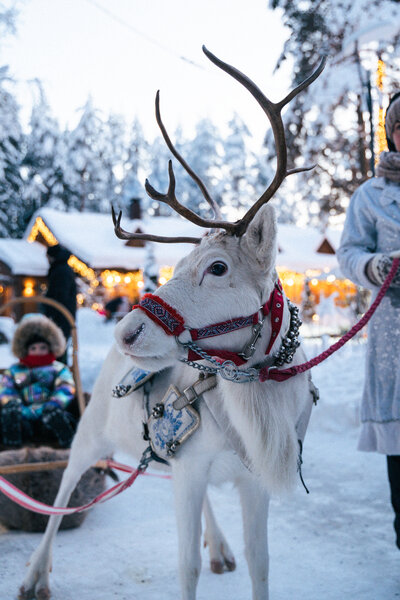 Фото Царство-Королевство