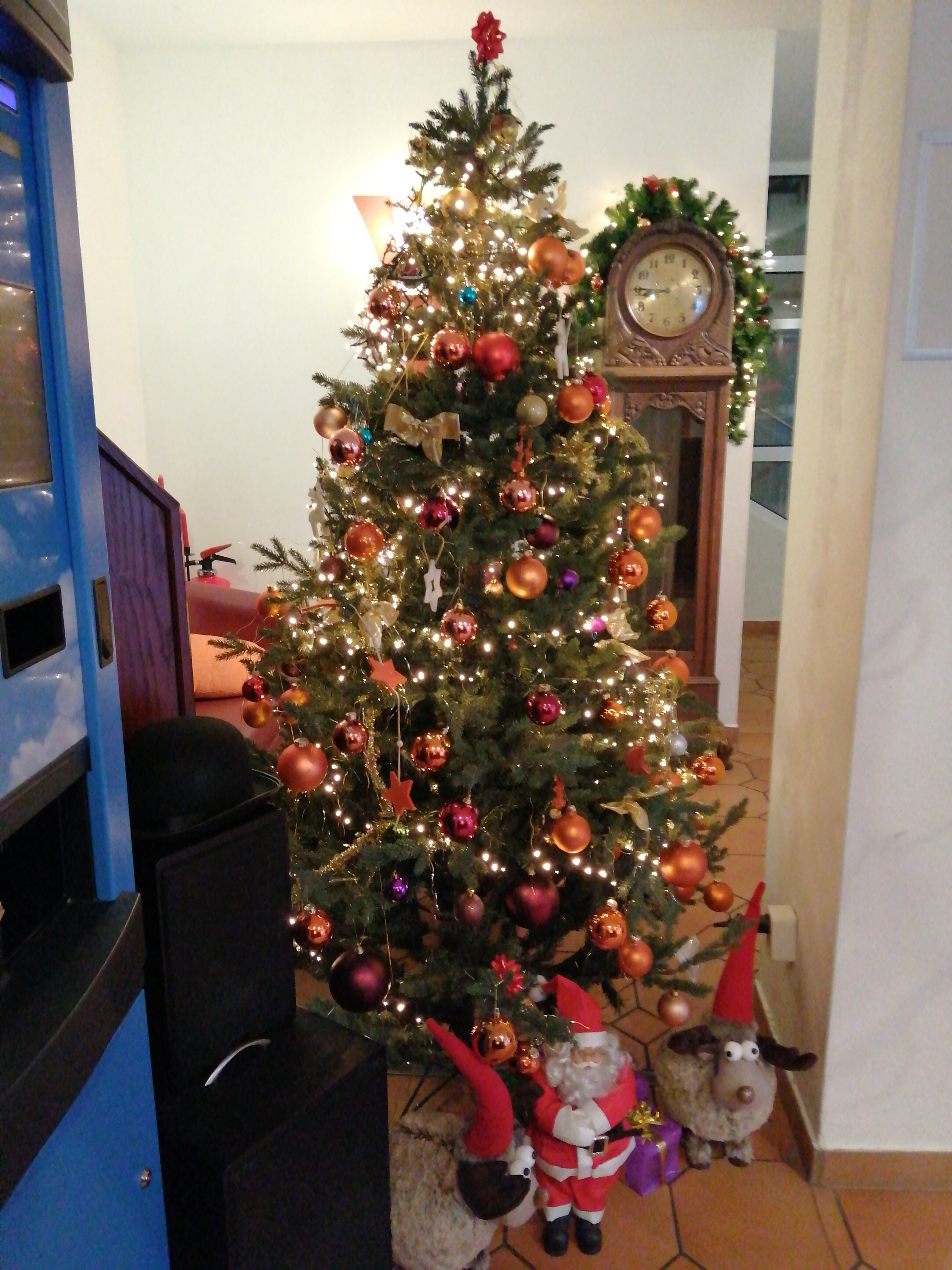 Фото Alphotel Ettal