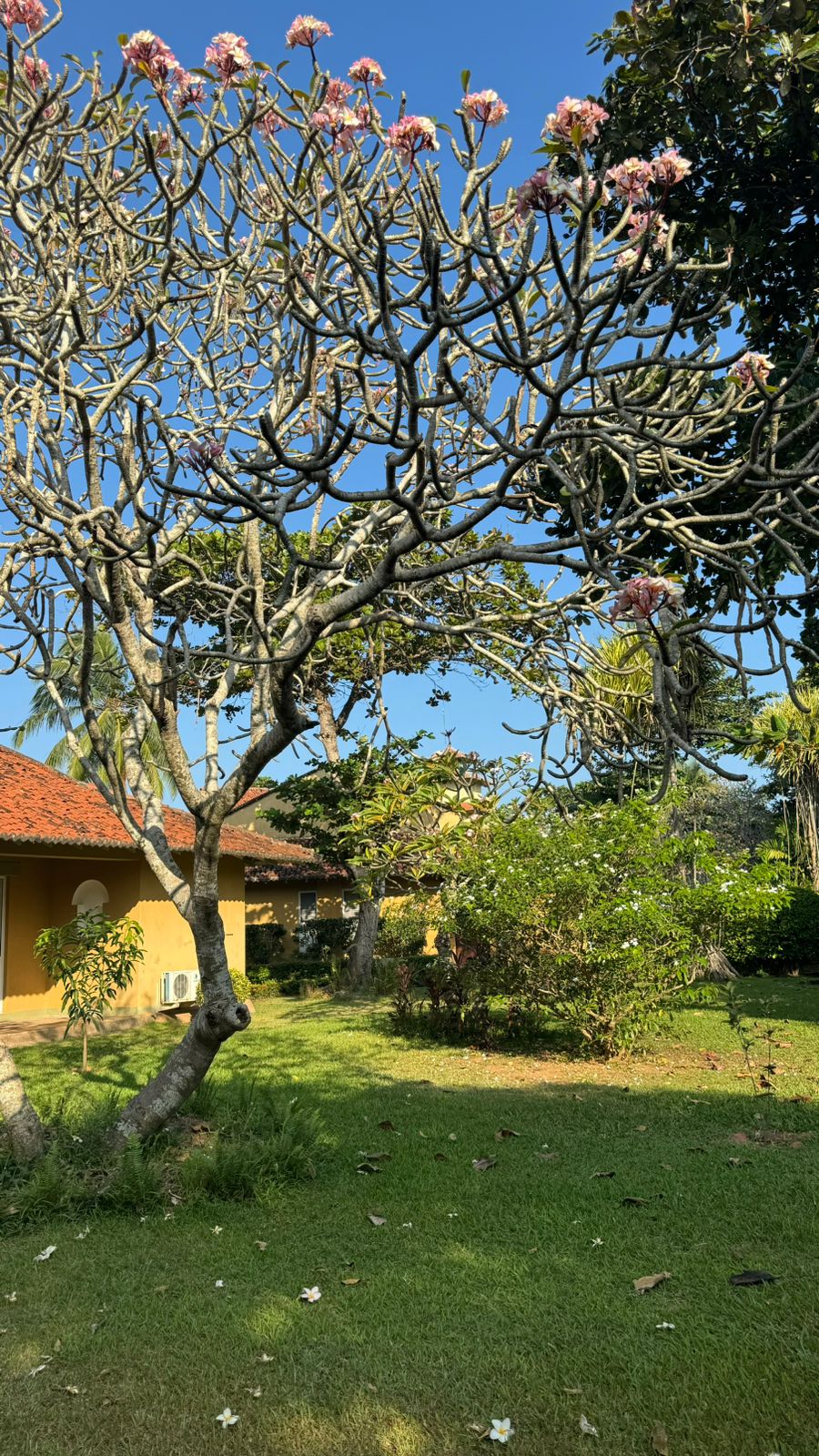 Фото Club Palm Bay