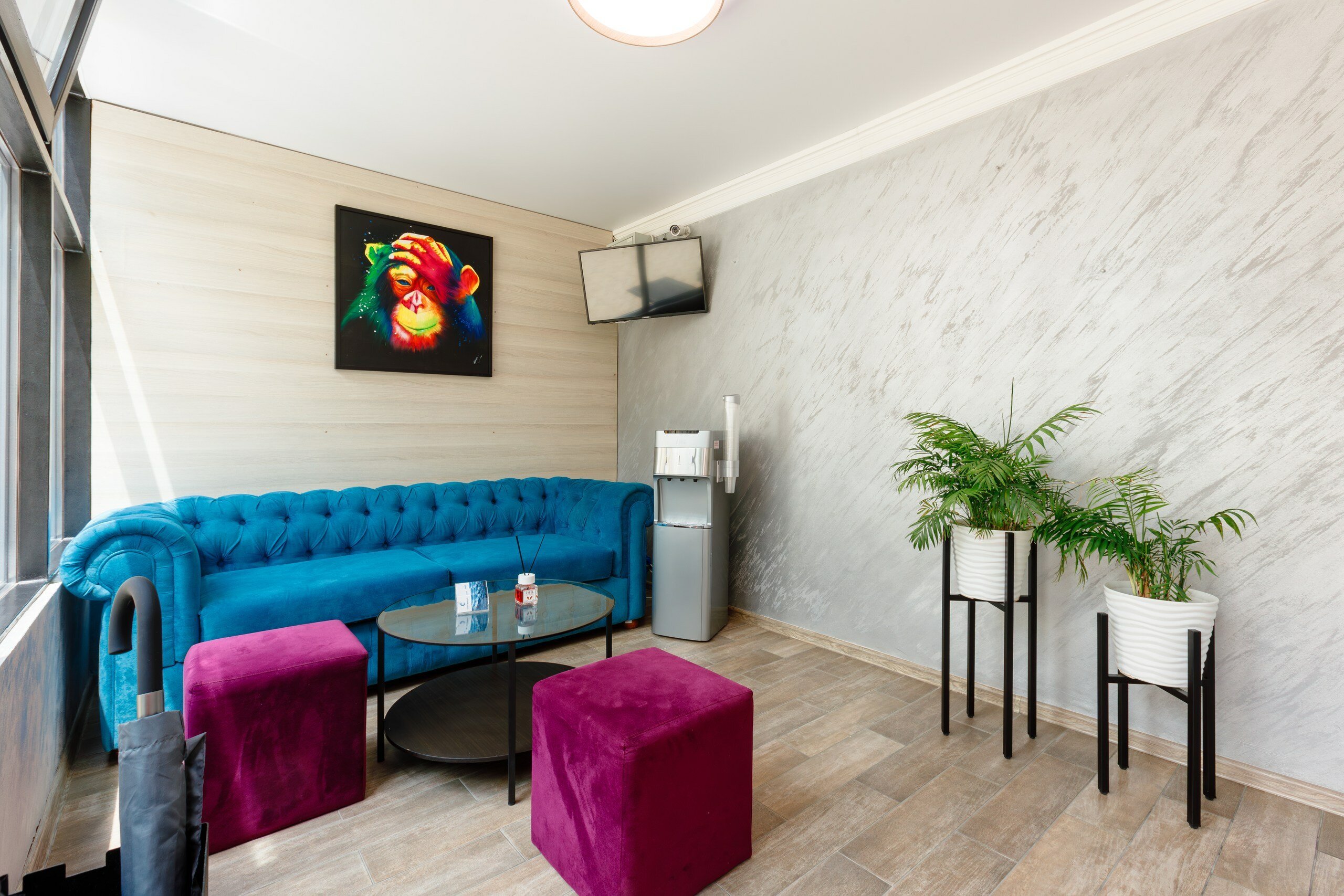 Фото Современник