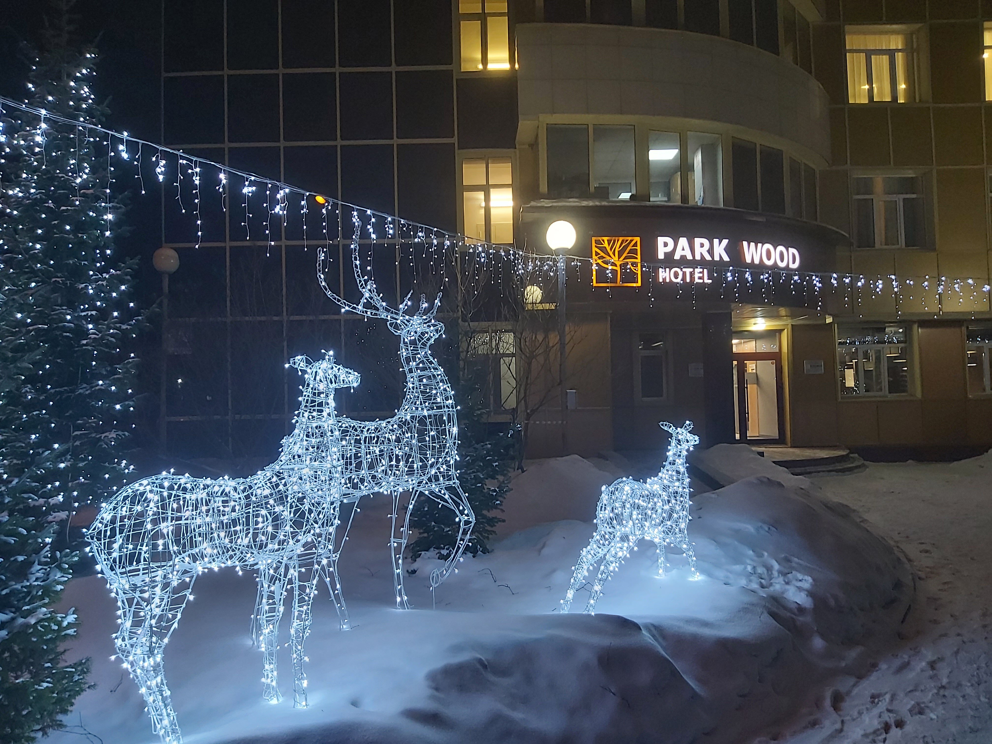 Фото Park Wood Hotel